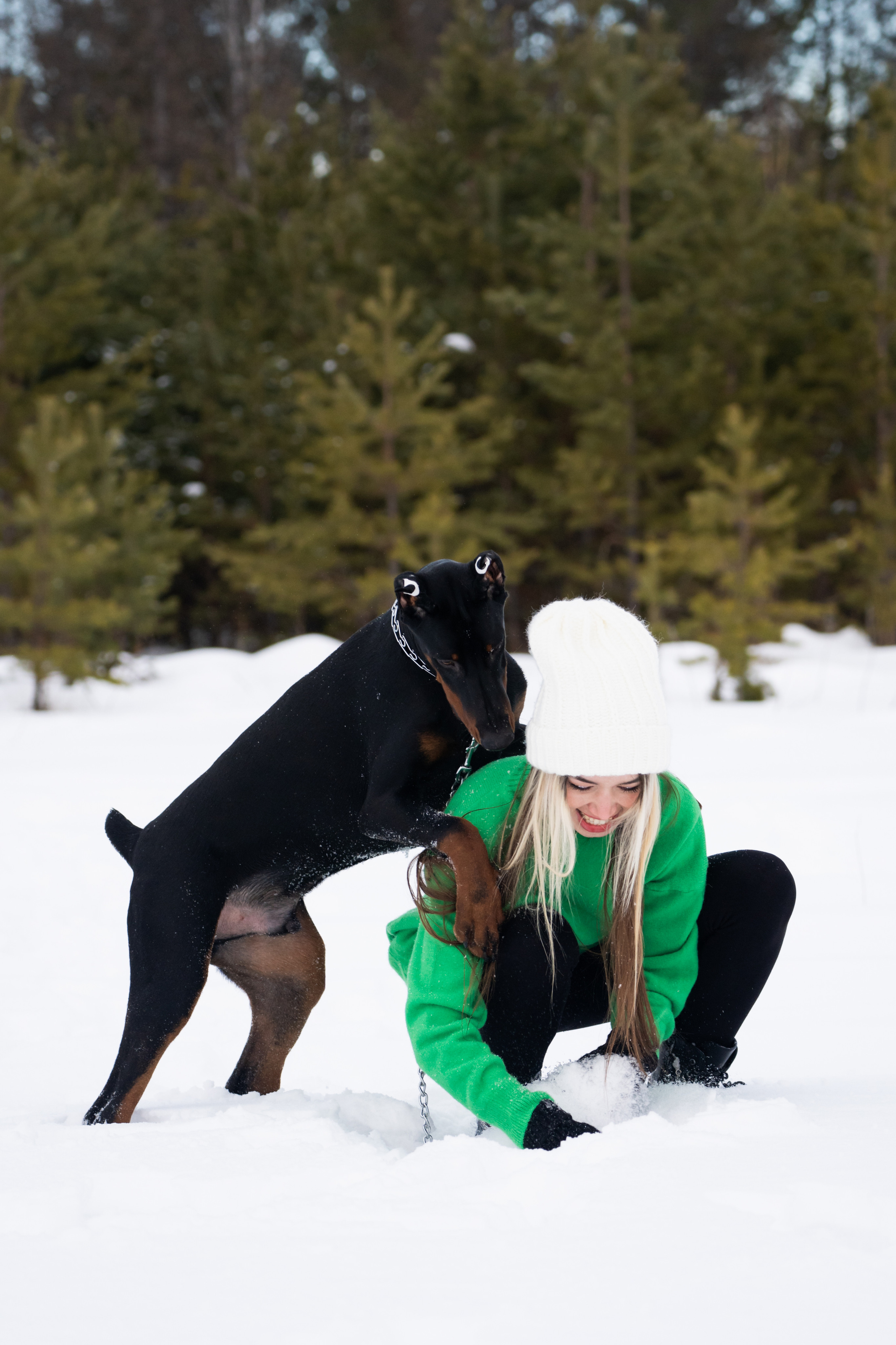Каспер. Фотограф-анималист Анастасия Большакова