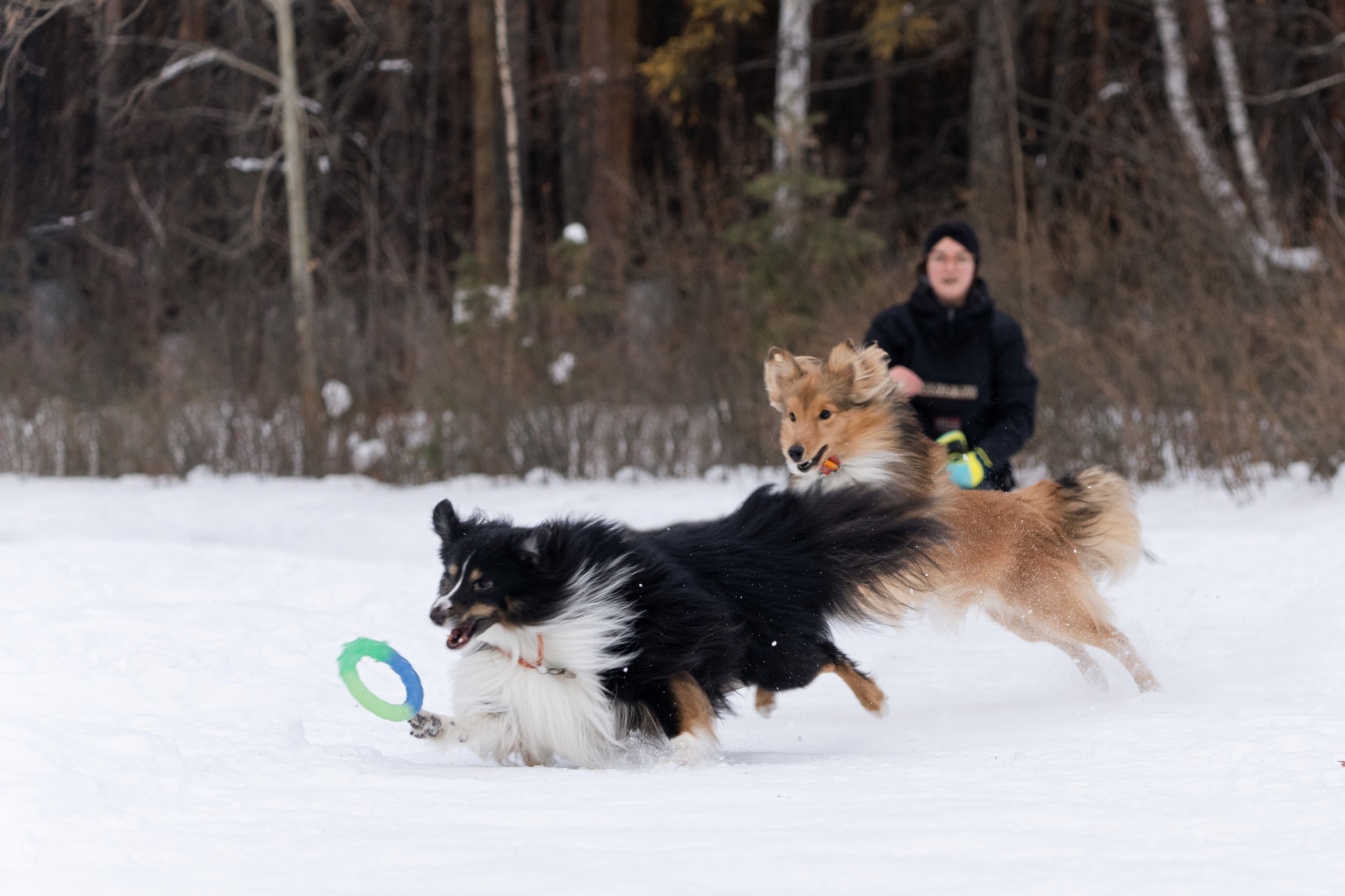 Локки и Руни. Фотограф-анималист Анастасия Большакова