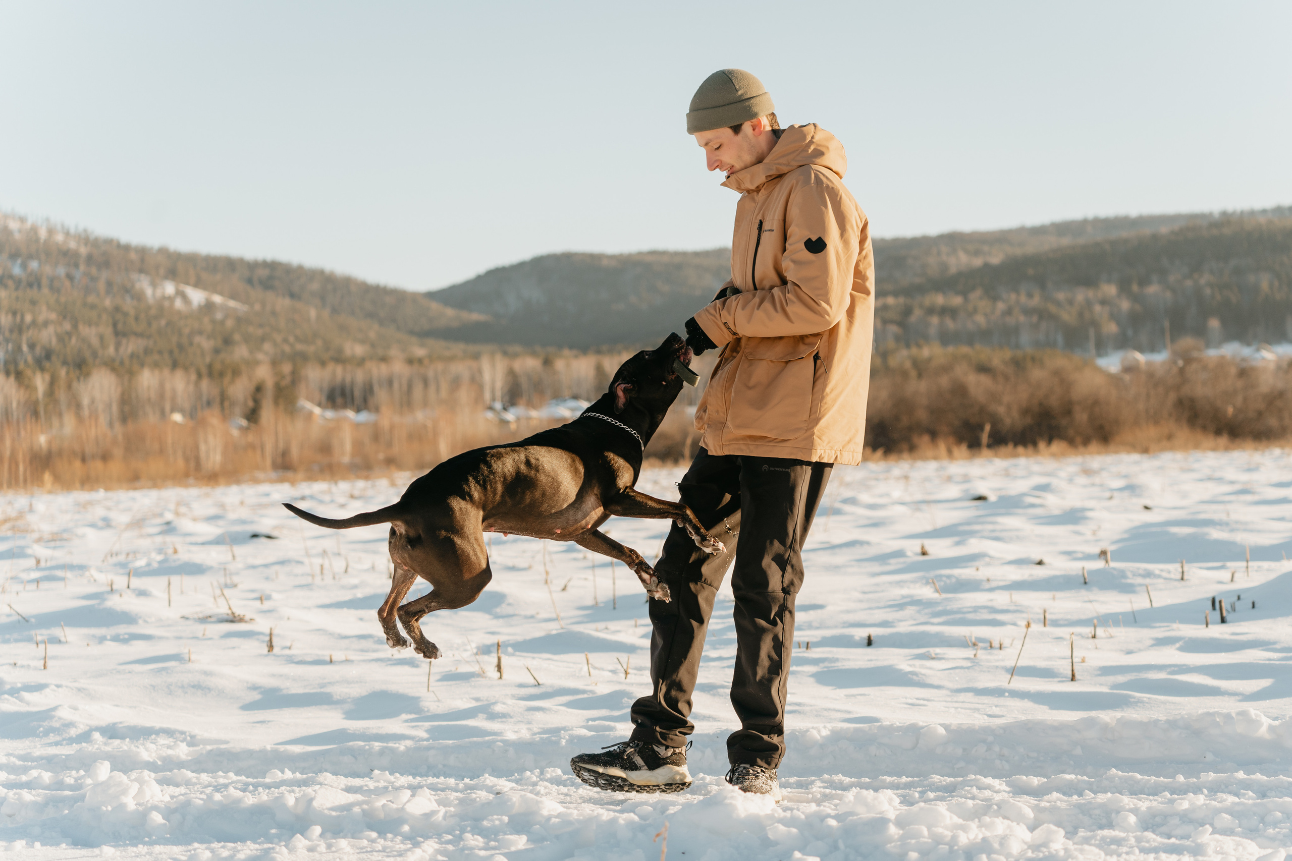Мэгги. Фотограф-анималист Анастасия Большакова