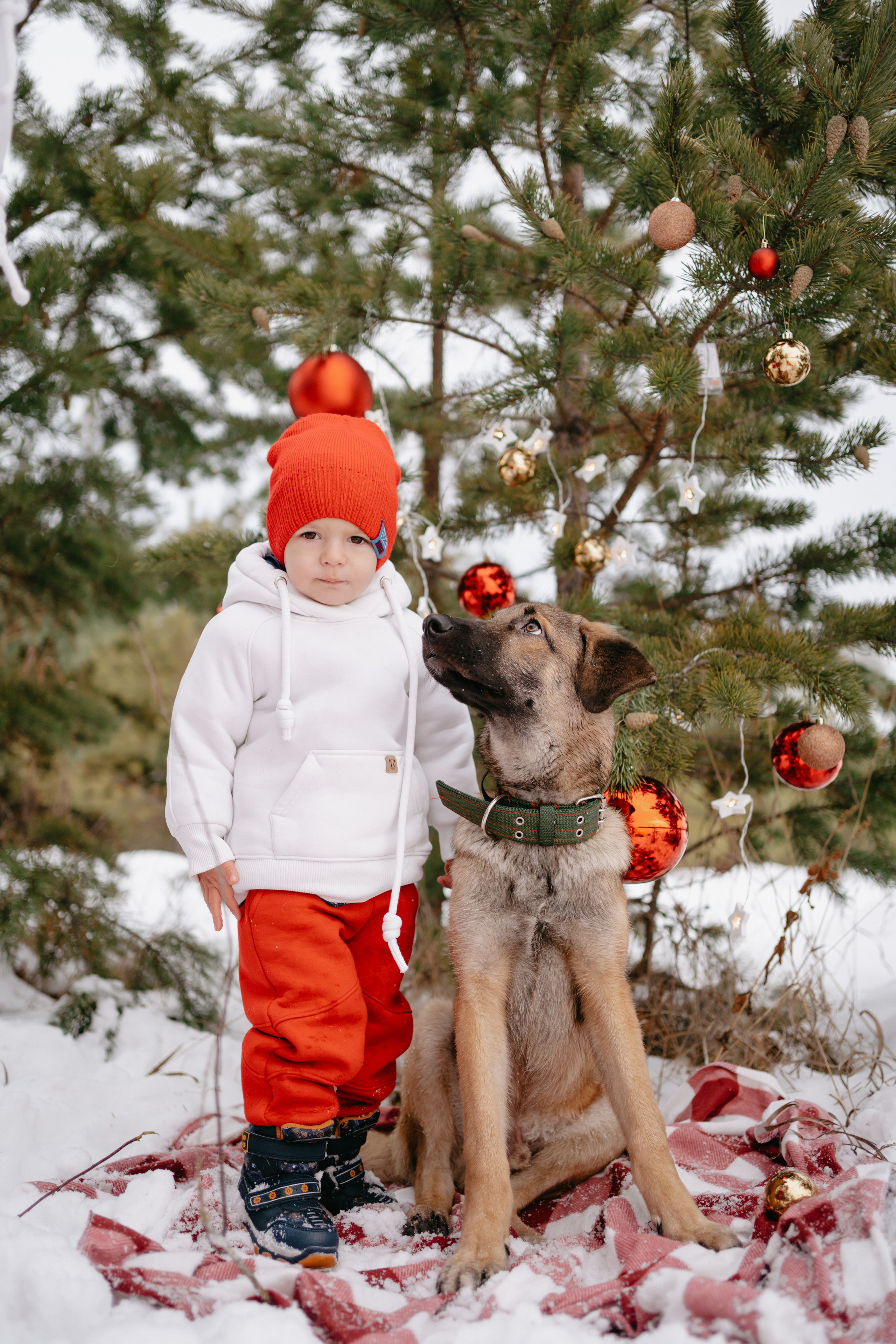 Марик. Фотограф-анималист Анастасия Большакова