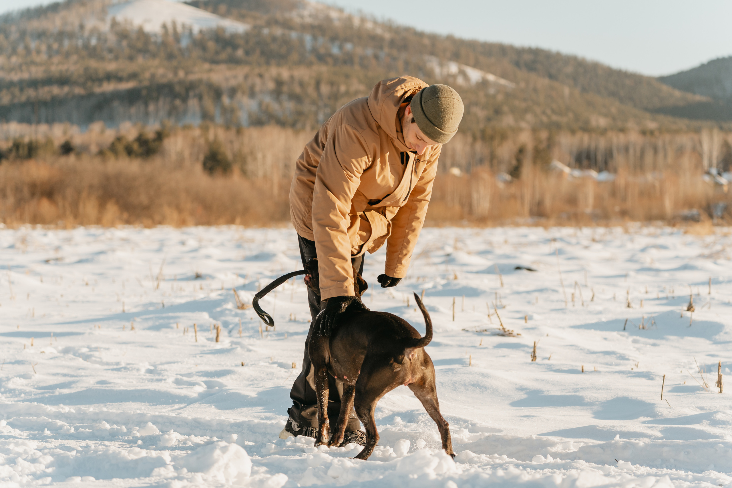 Мэгги. Фотограф-анималист Анастасия Большакова
