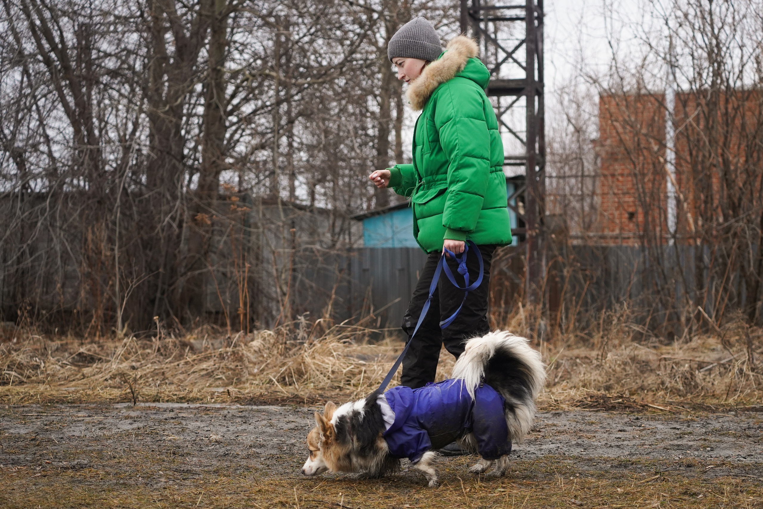 Клуб любителей собак «CANIS». Фотограф-анималист Анастасия Большакова