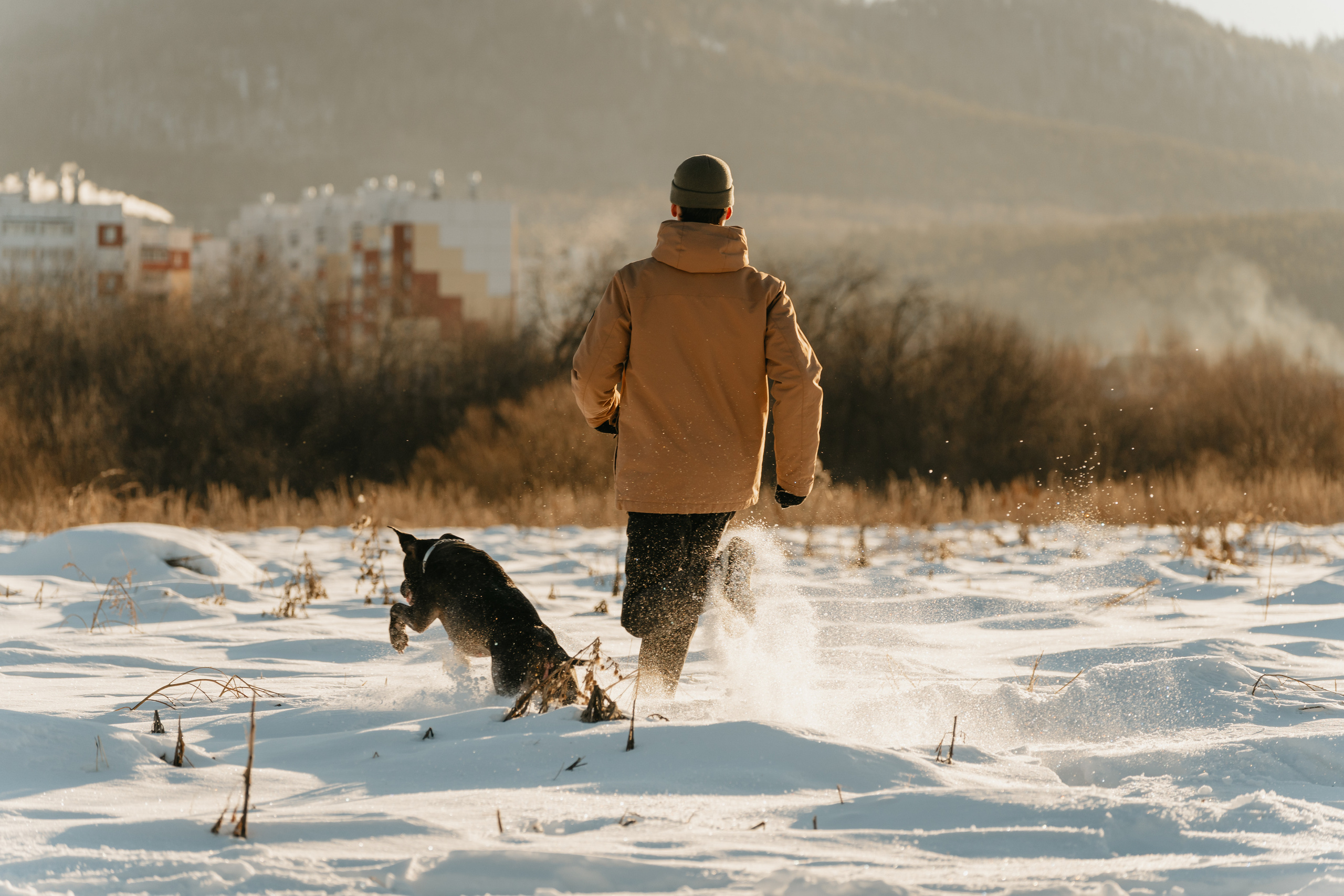 Мэгги. Фотограф-анималист Анастасия Большакова