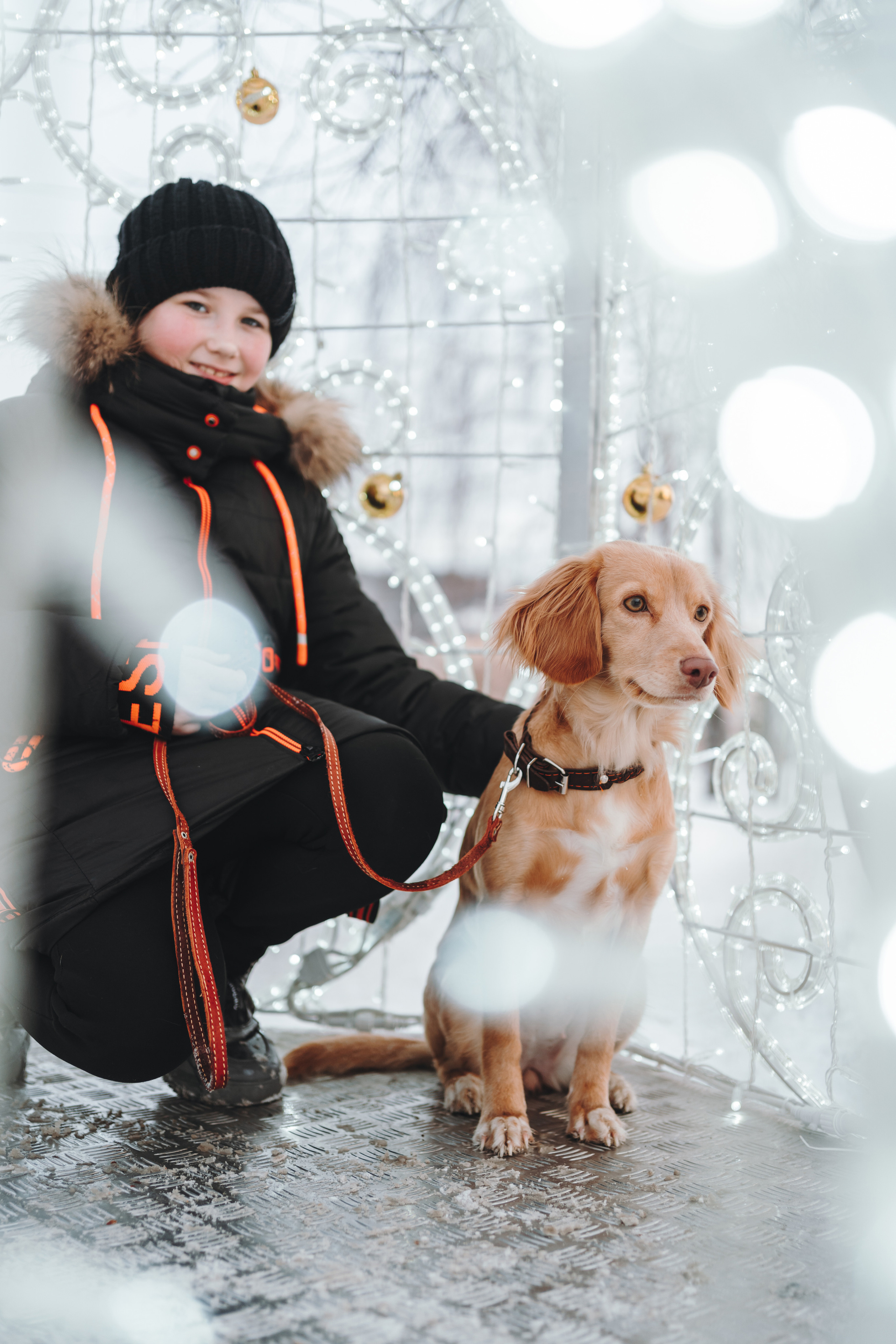 Джесси. Фотограф-анималист Анастасия Большакова