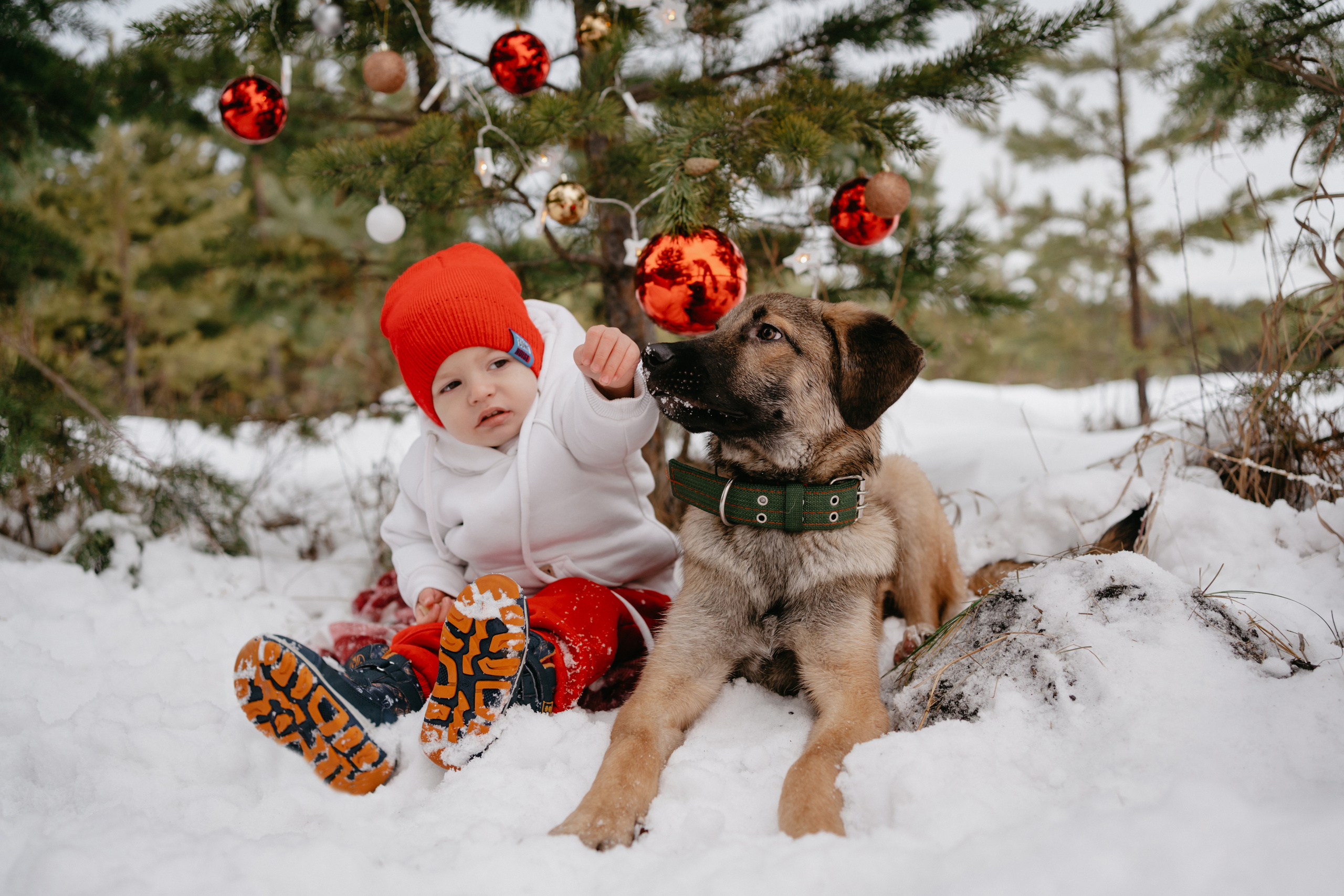 Марик. Фотограф-анималист Анастасия Большакова