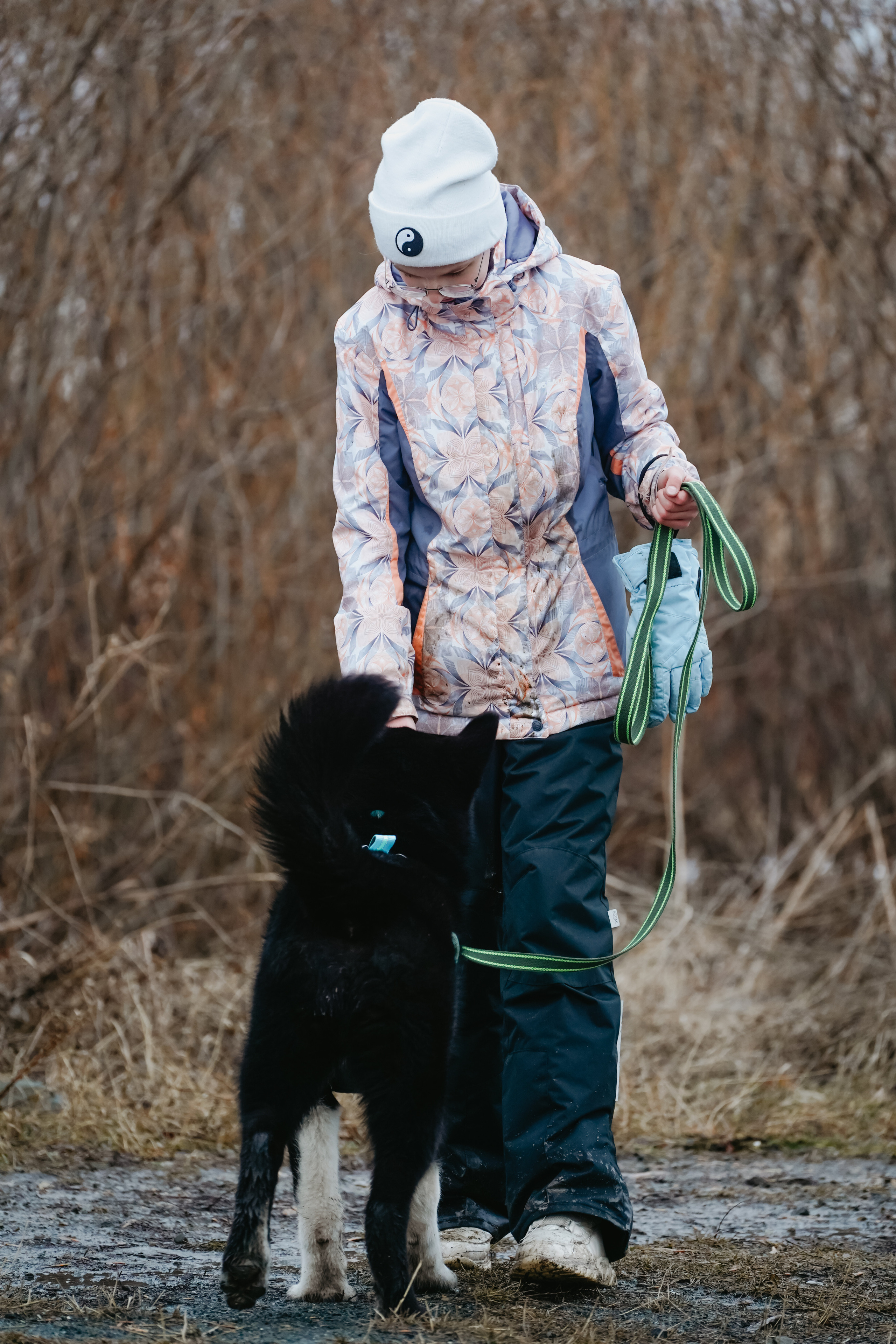 Клуб любителей собак «CANIS». Фотограф-анималист Анастасия Большакова