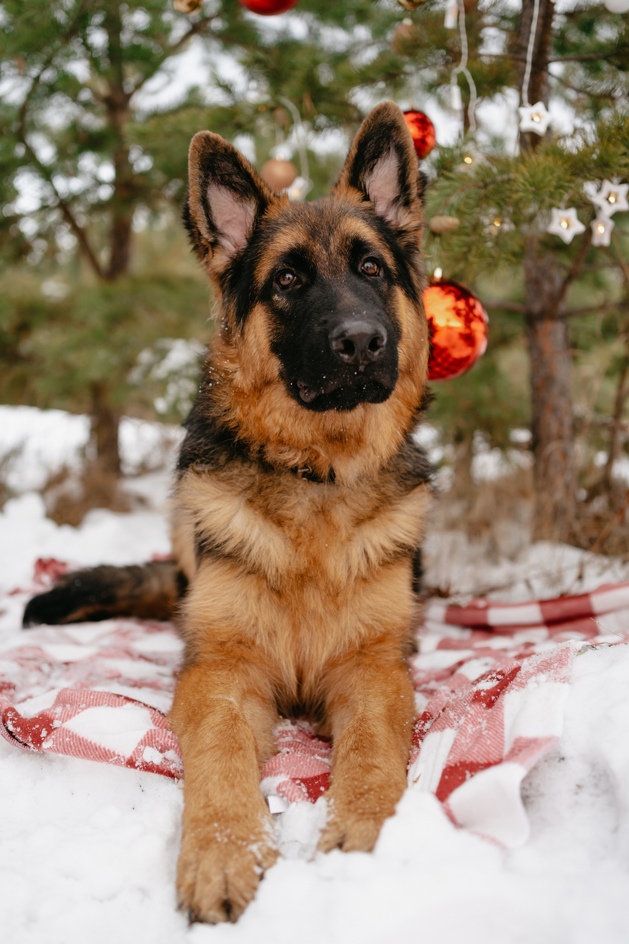 Байкал. Фотограф-анималист Анастасия Большакова