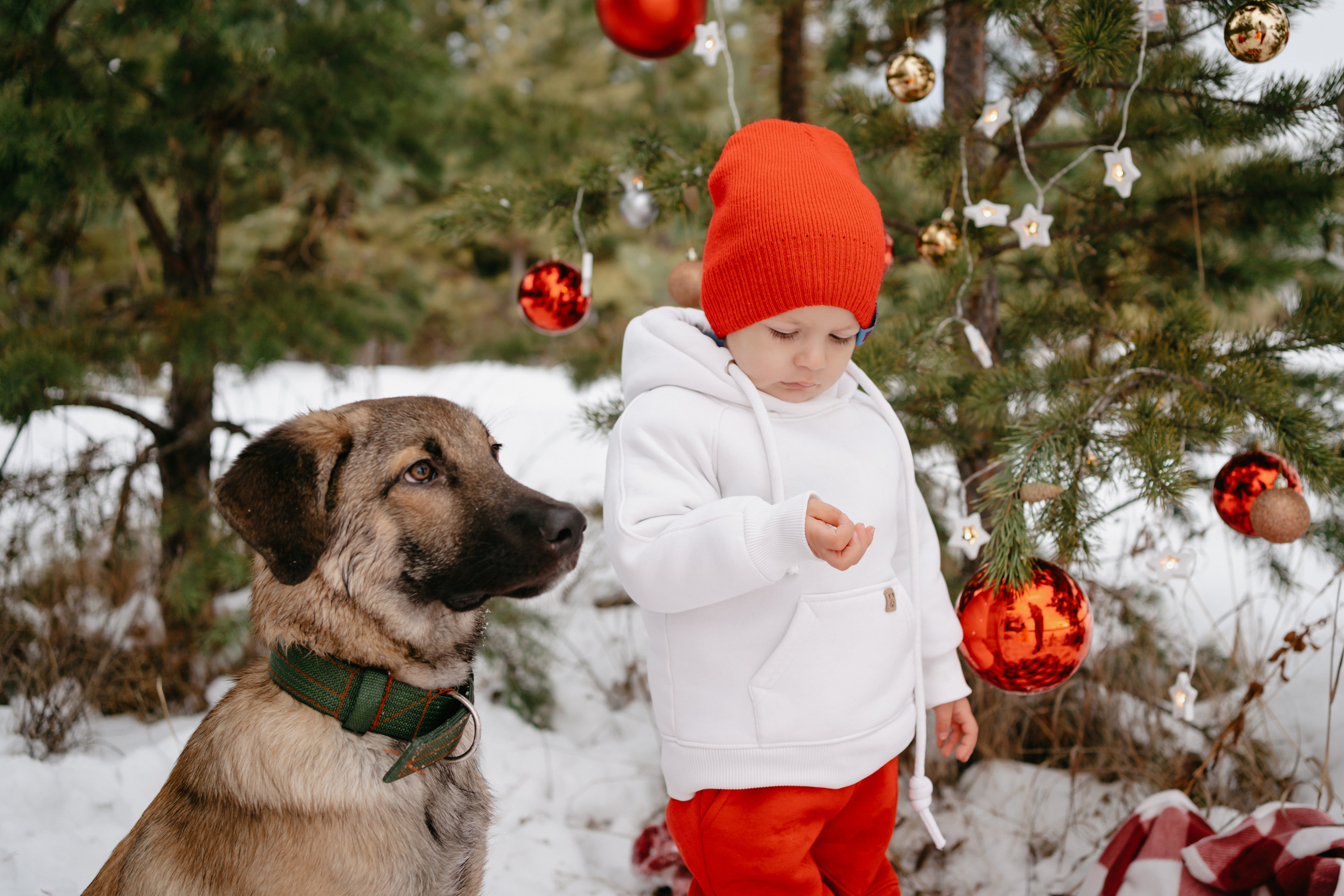 Марик. Фотограф-анималист Анастасия Большакова