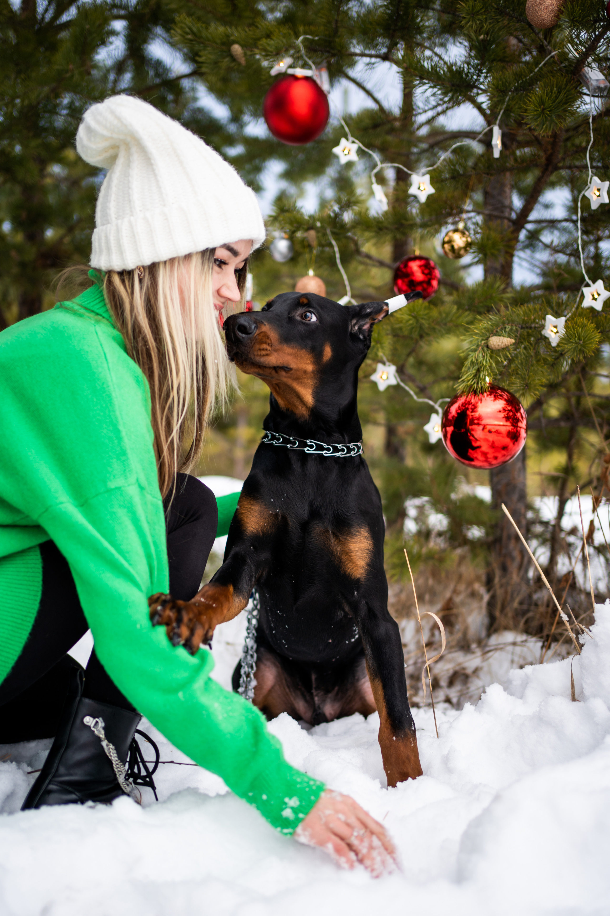Каспер. Фотограф-анималист Анастасия Большакова