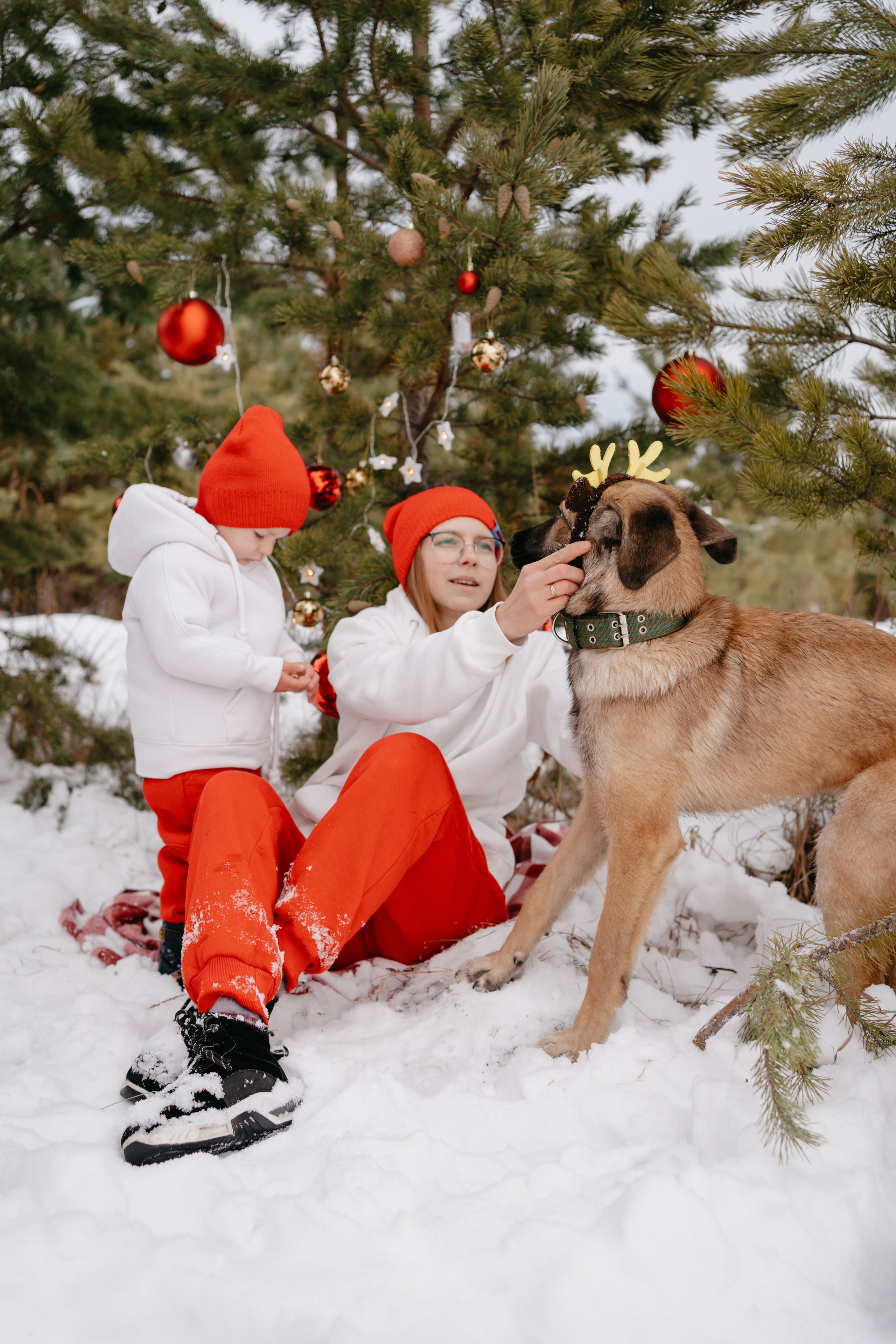 Марик. Фотограф-анималист Анастасия Большакова
