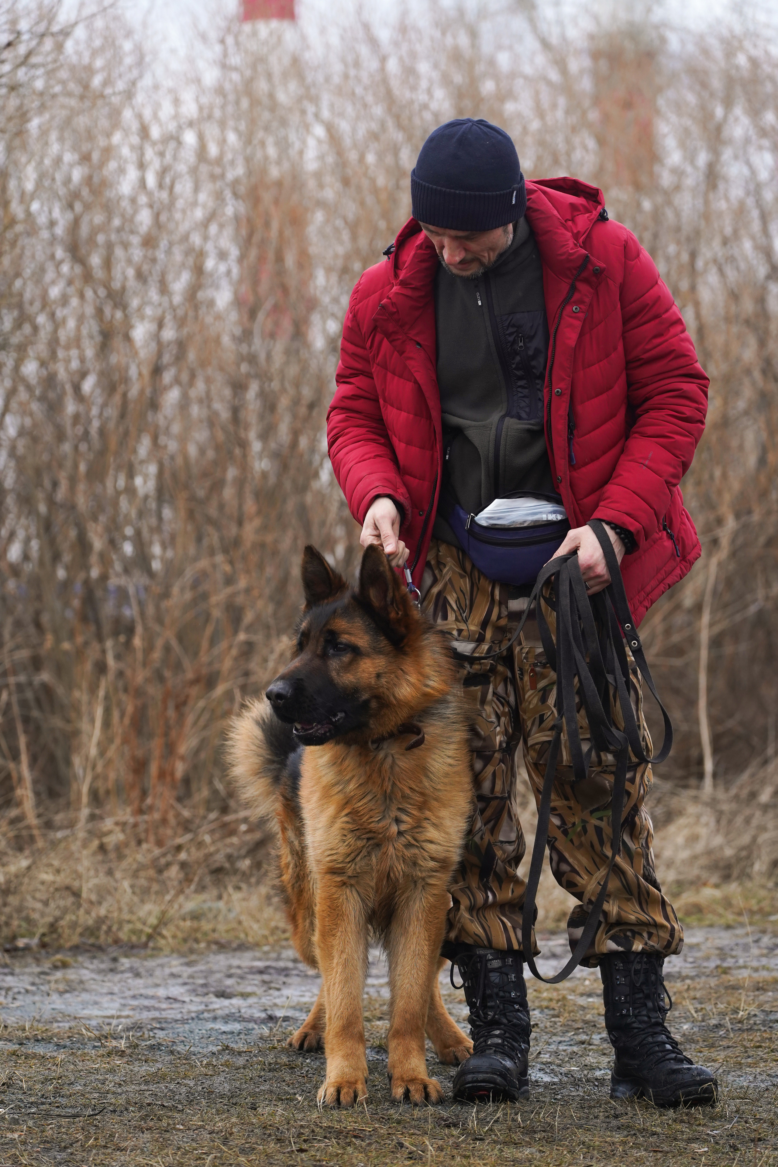 Клуб любителей собак «CANIS». Фотограф-анималист Анастасия Большакова