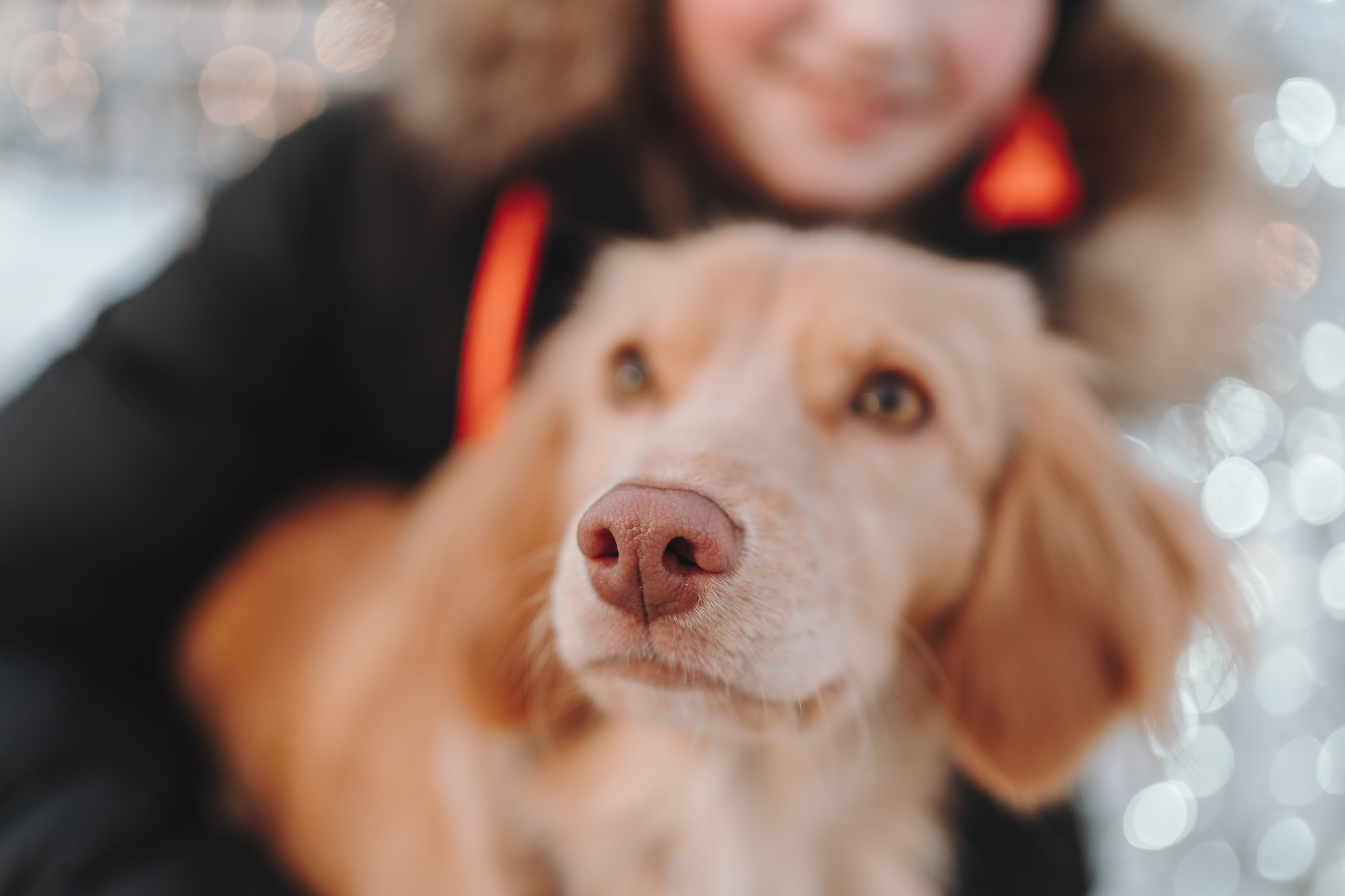 Джесси. Фотограф-анималист Анастасия Большакова