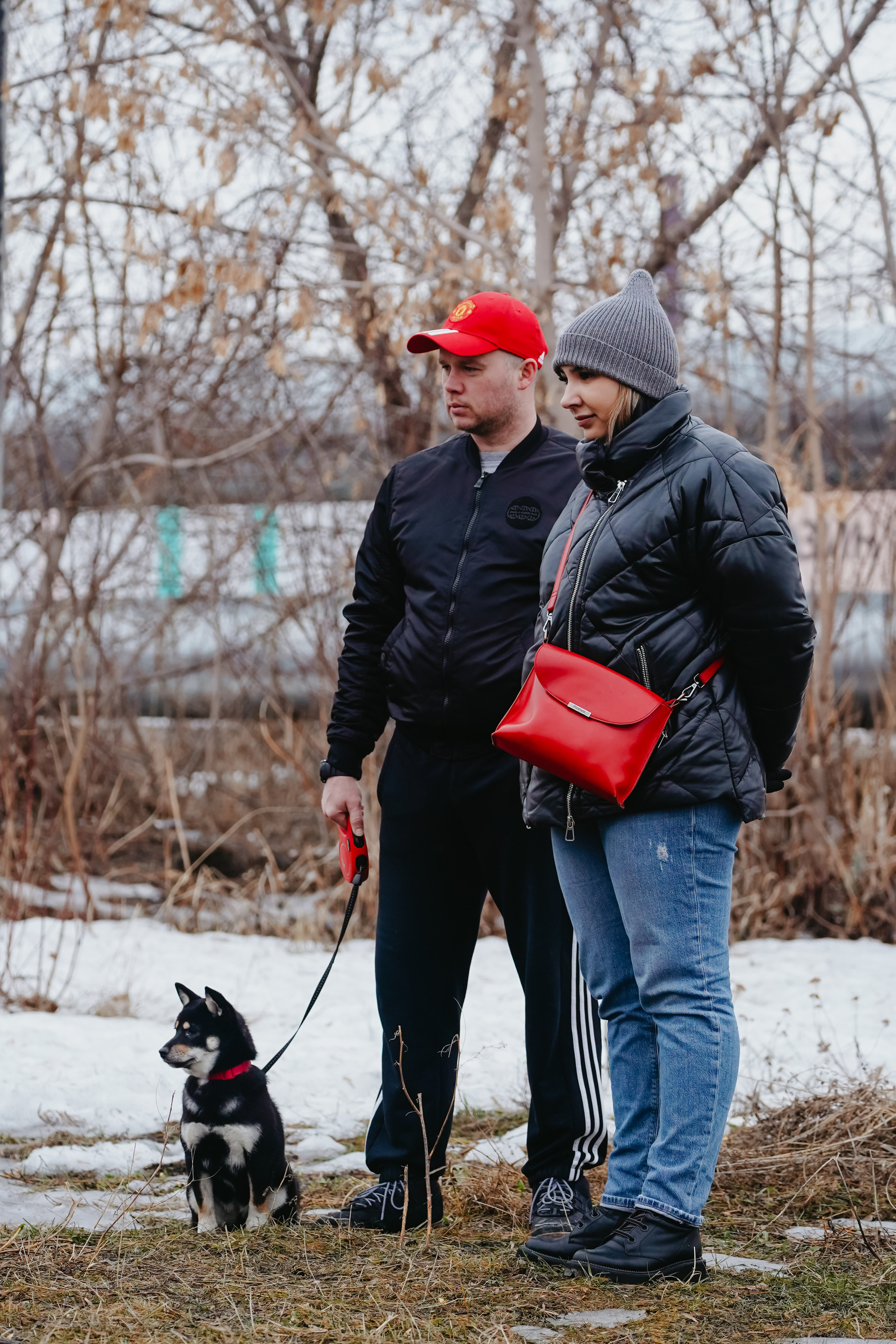 Клуб любителей собак «CANIS». Фотограф-анималист Анастасия Большакова