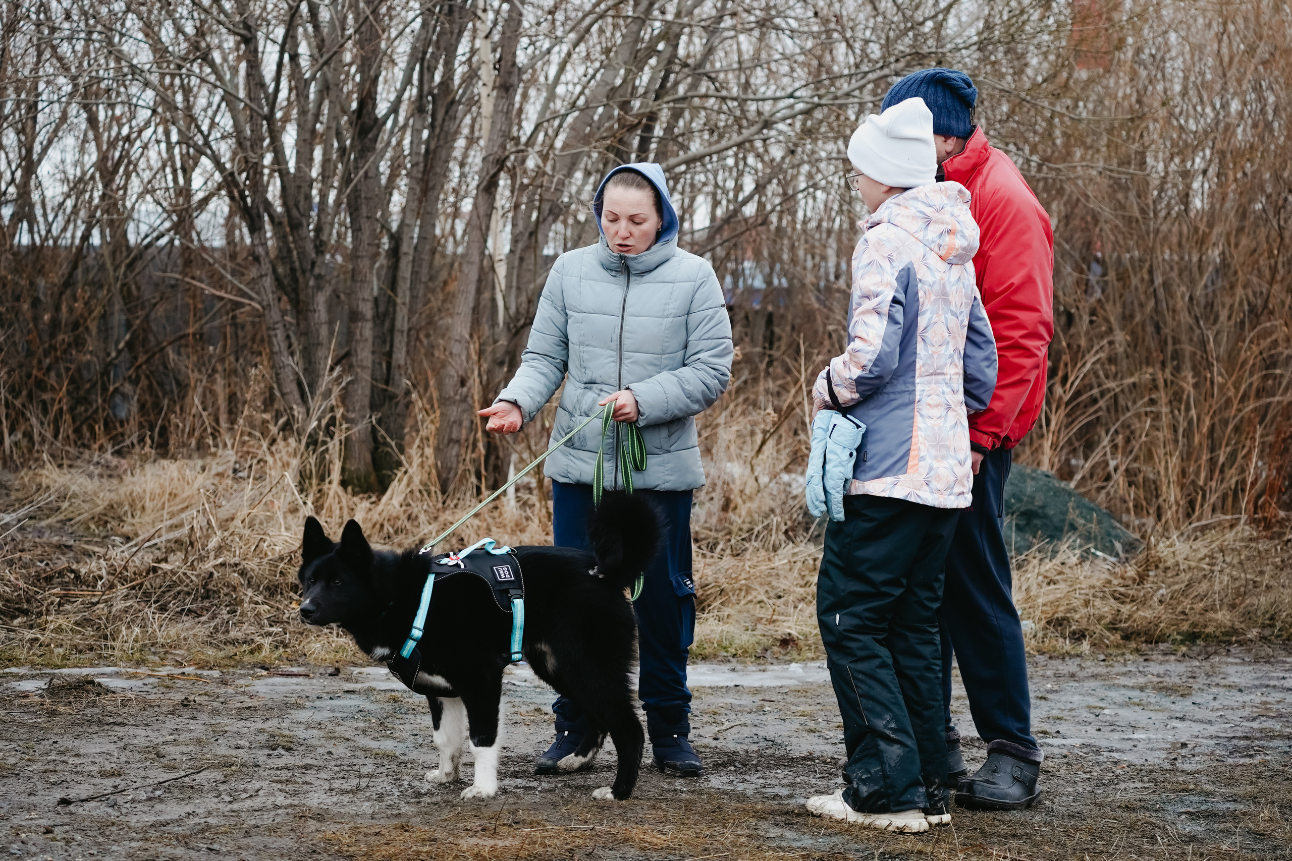 Клуб любителей собак «CANIS». Фотограф-анималист Анастасия Большакова