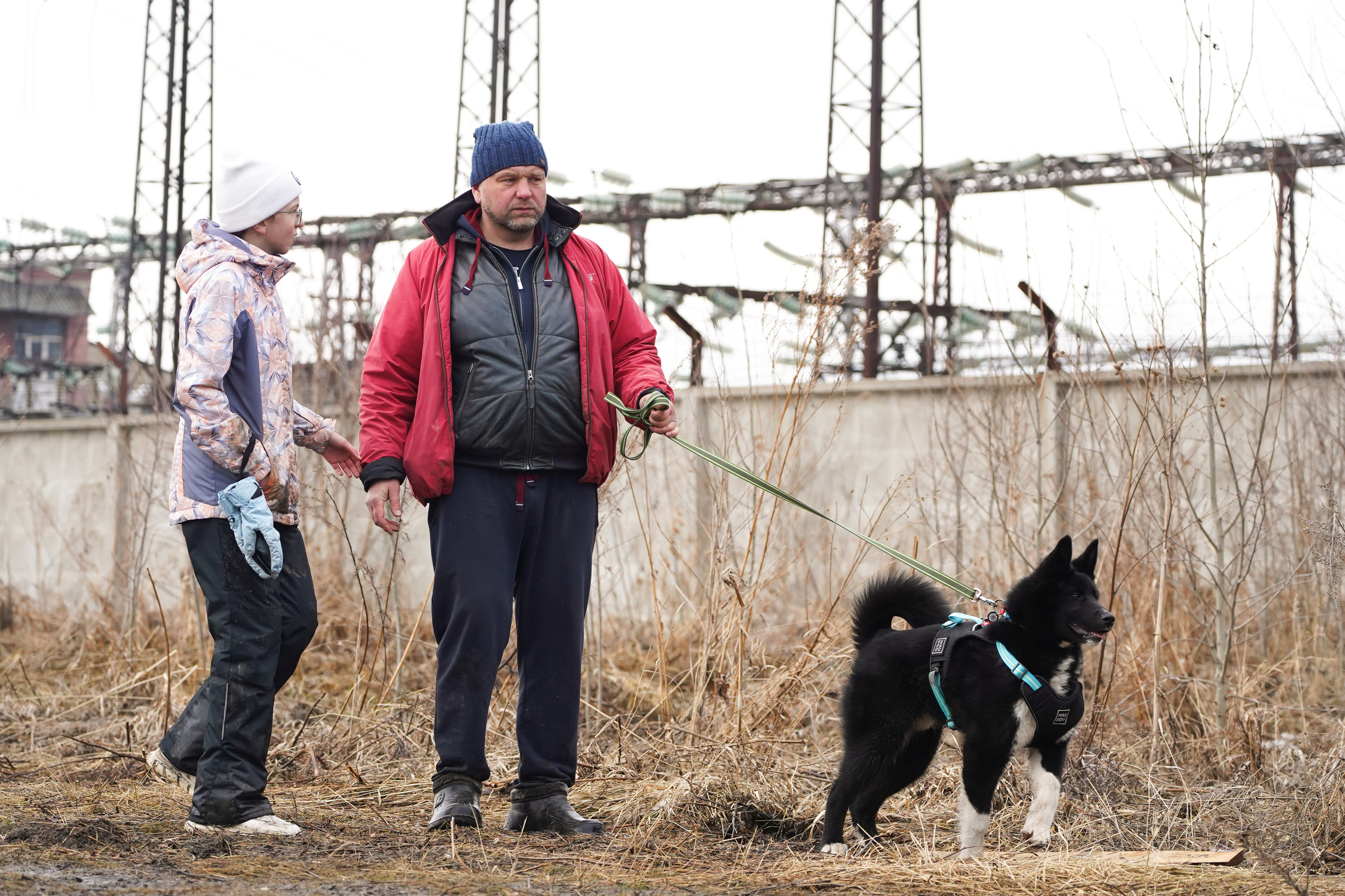 Клуб любителей собак «CANIS». Фотограф-анималист Анастасия Большакова