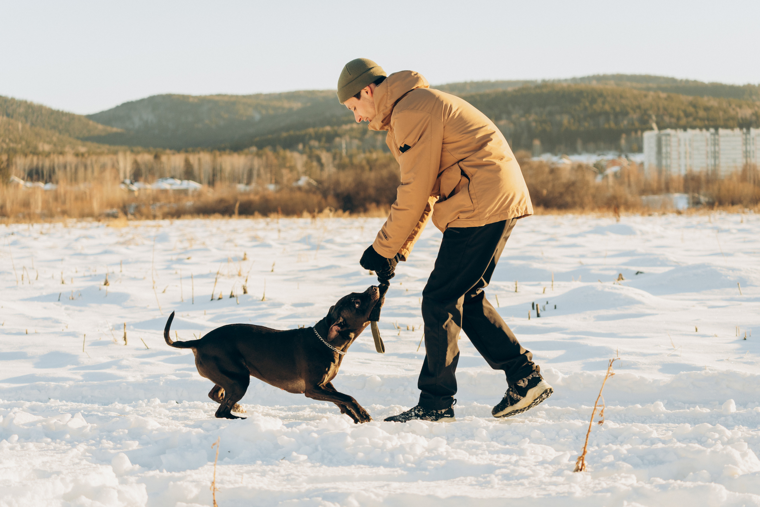 Мэгги. Фотограф-анималист Анастасия Большакова