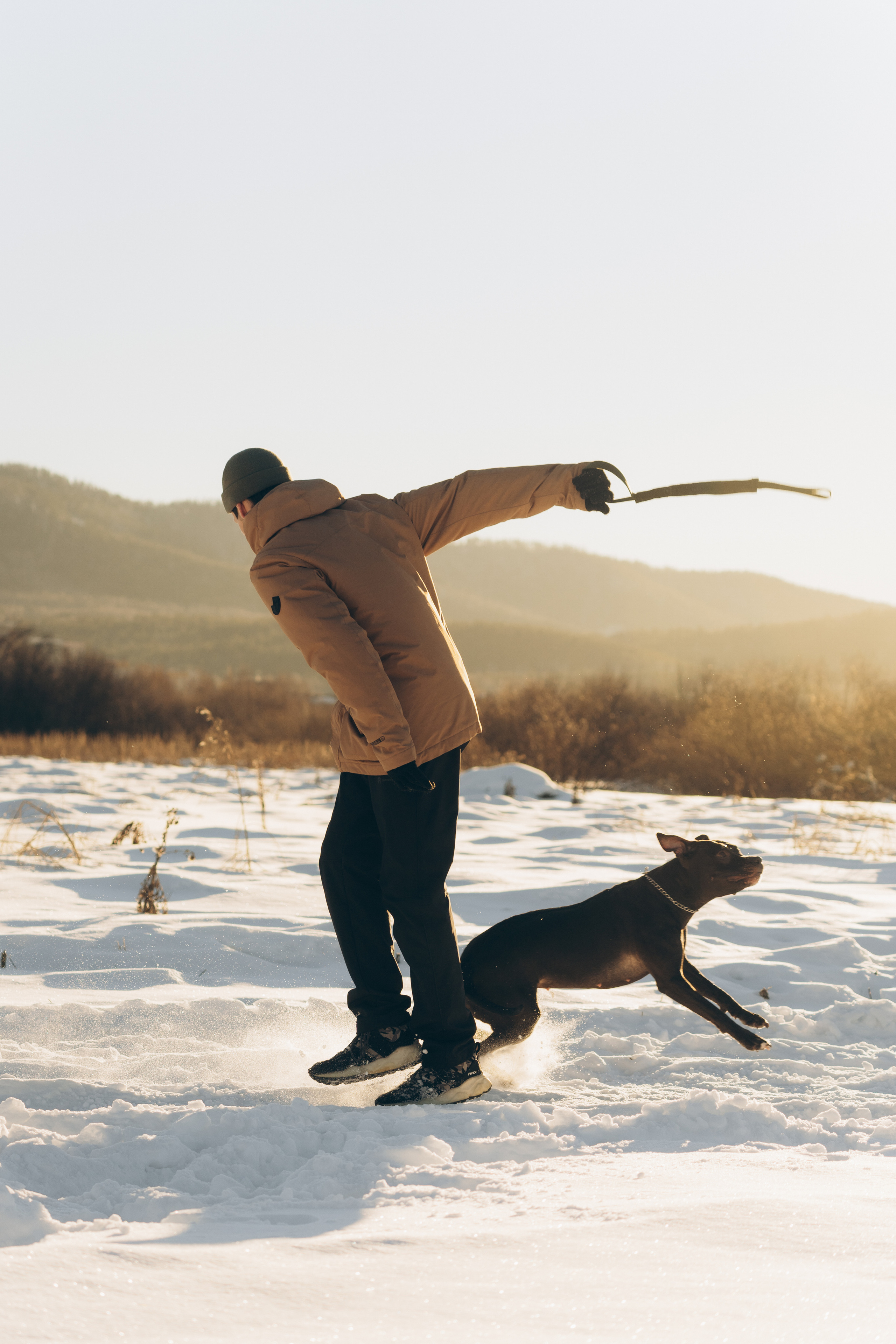 Мэгги. Фотограф-анималист Анастасия Большакова