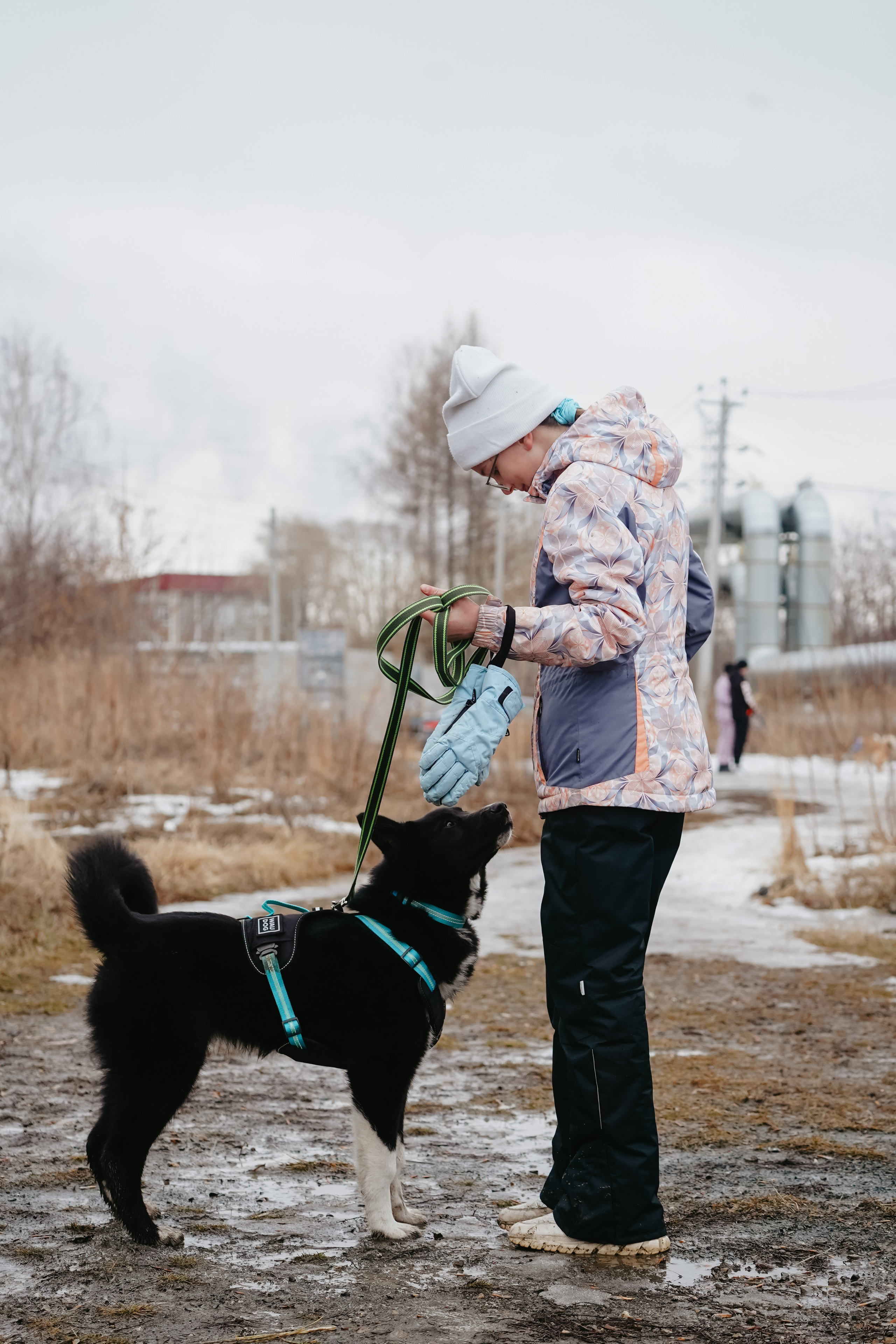 Клуб любителей собак «CANIS». Фотограф-анималист Анастасия Большакова