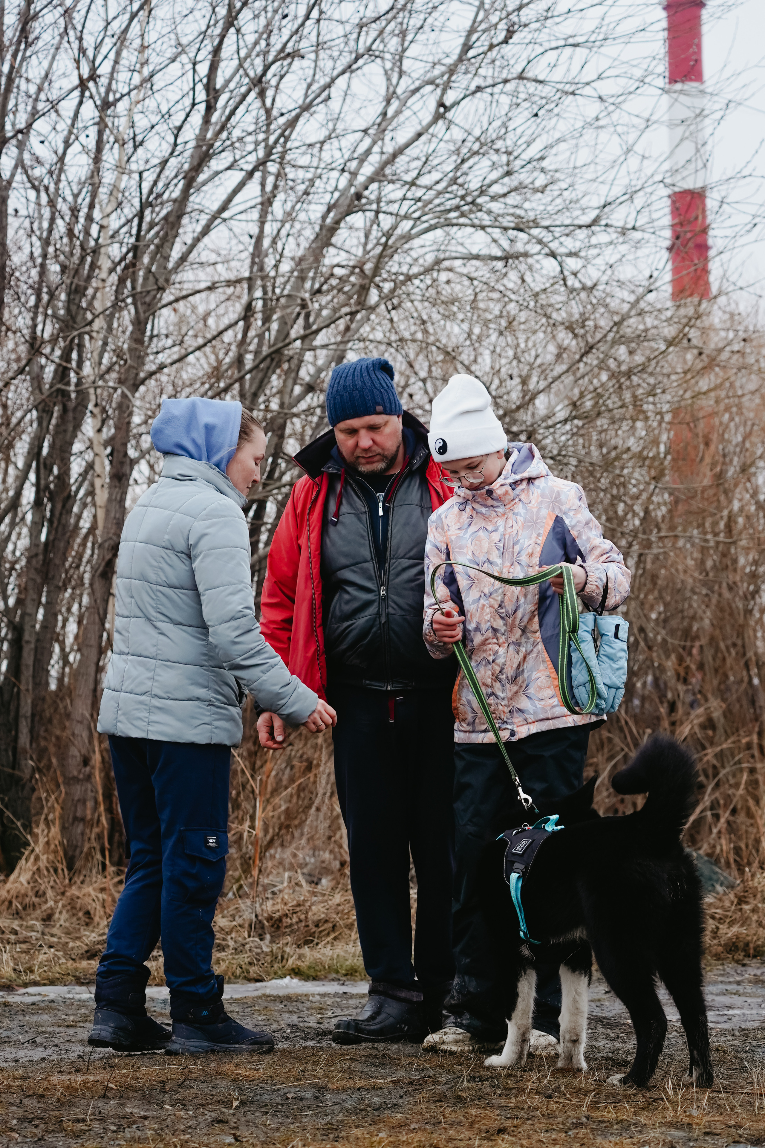 Клуб любителей собак «CANIS». Фотограф-анималист Анастасия Большакова