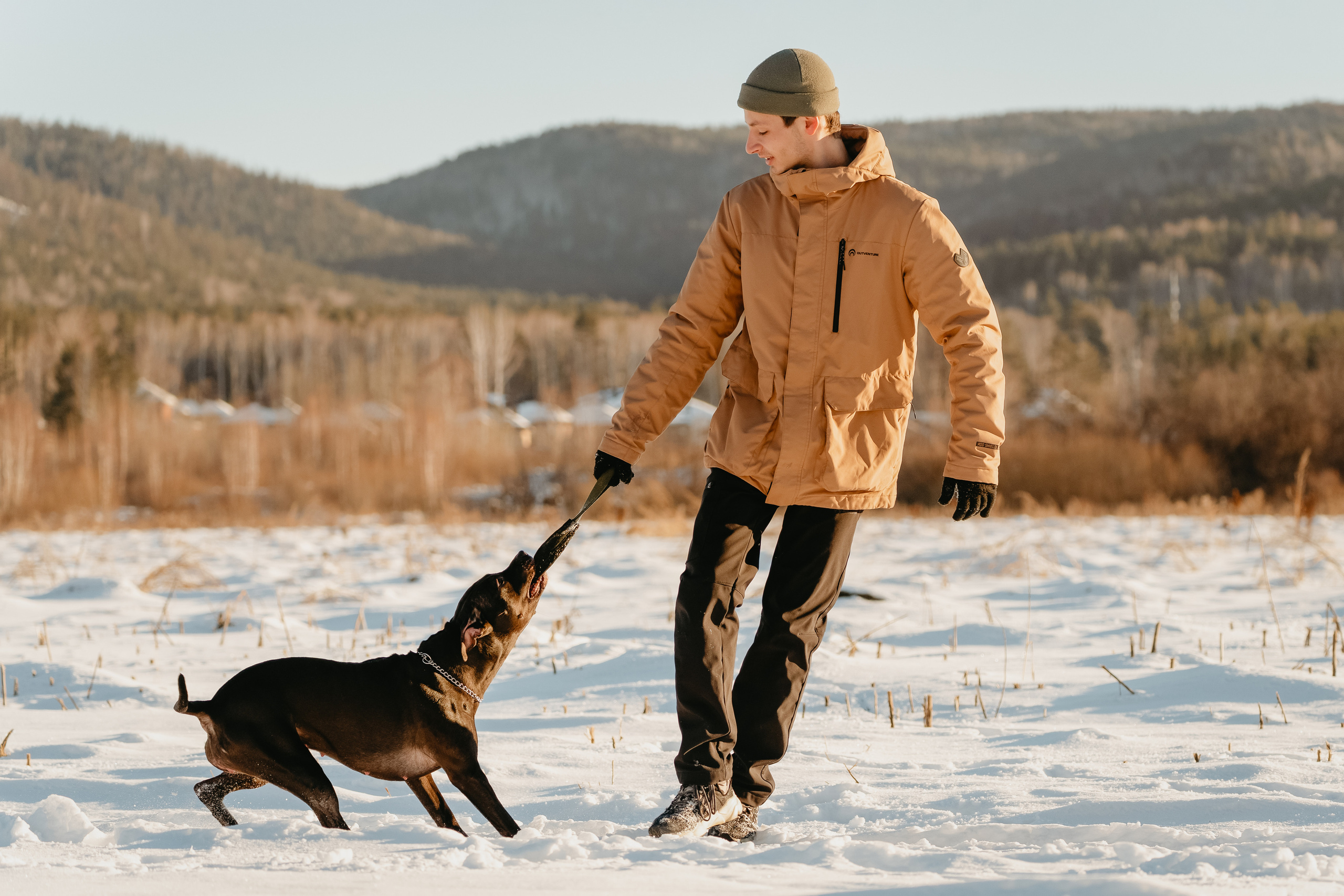 Мэгги. Фотограф-анималист Анастасия Большакова