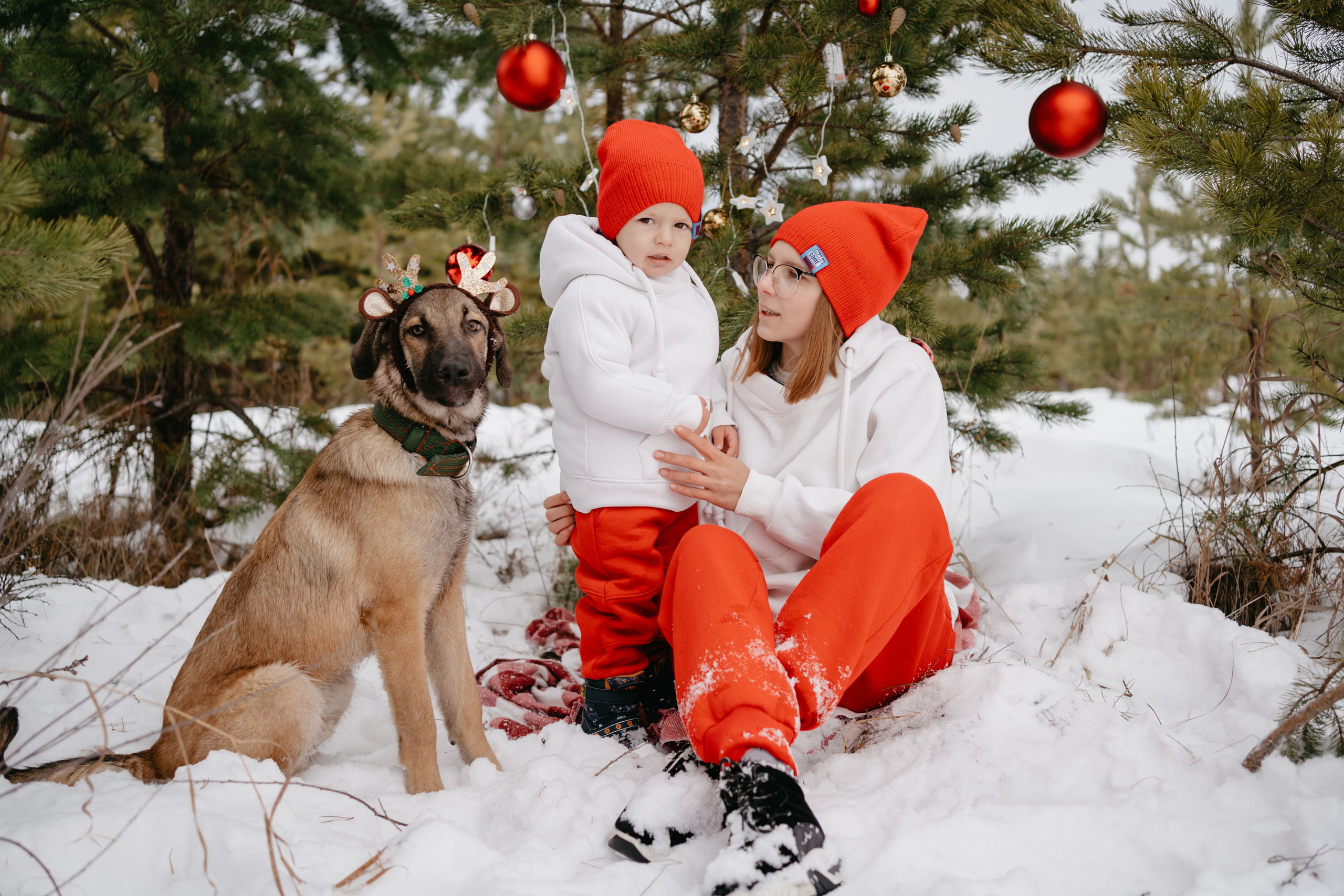 Марик. Фотограф-анималист Анастасия Большакова