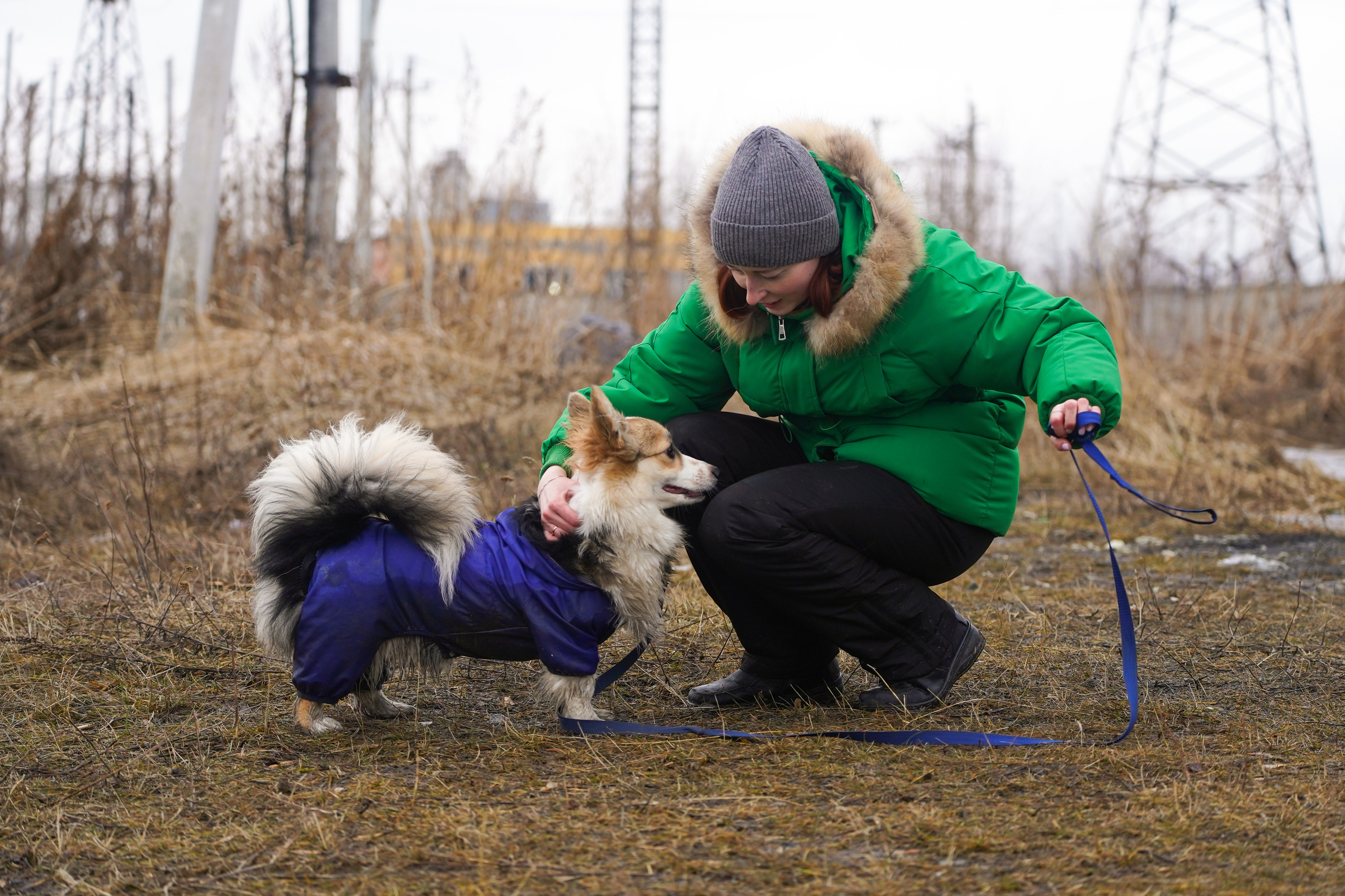 Клуб любителей собак «CANIS». Фотограф-анималист Анастасия Большакова