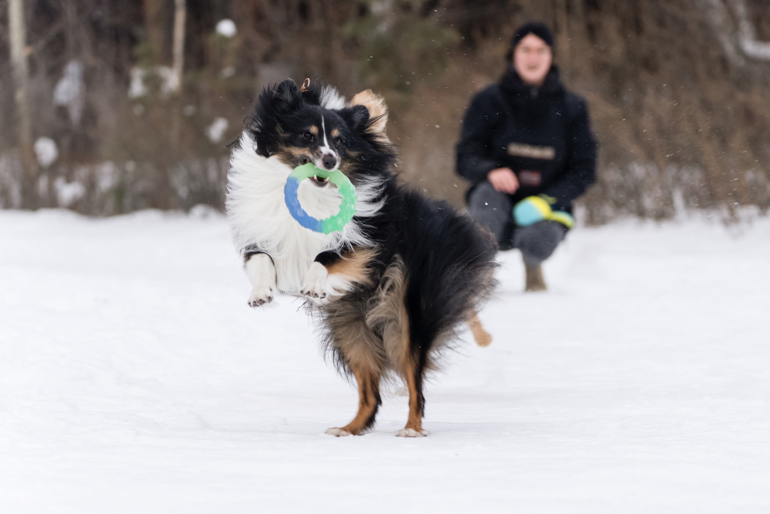 Локки и Руни. Фотограф-анималист Анастасия Большакова