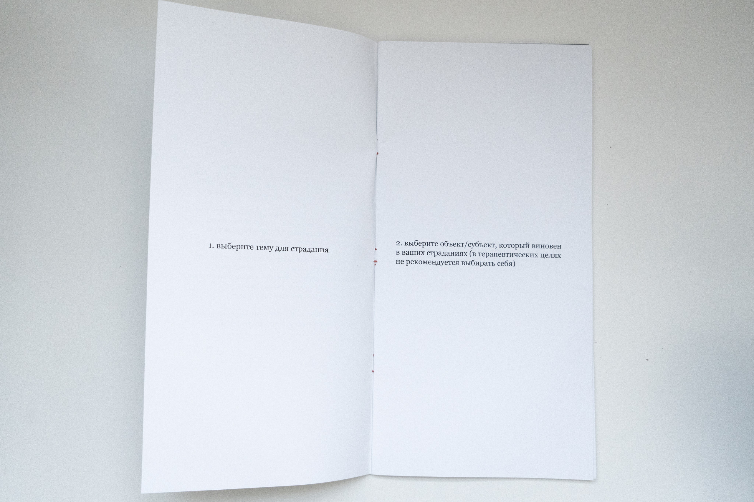 Зин «Как правильно страдать». Козлова Екатерина. Междисциплинарная визуальная художница