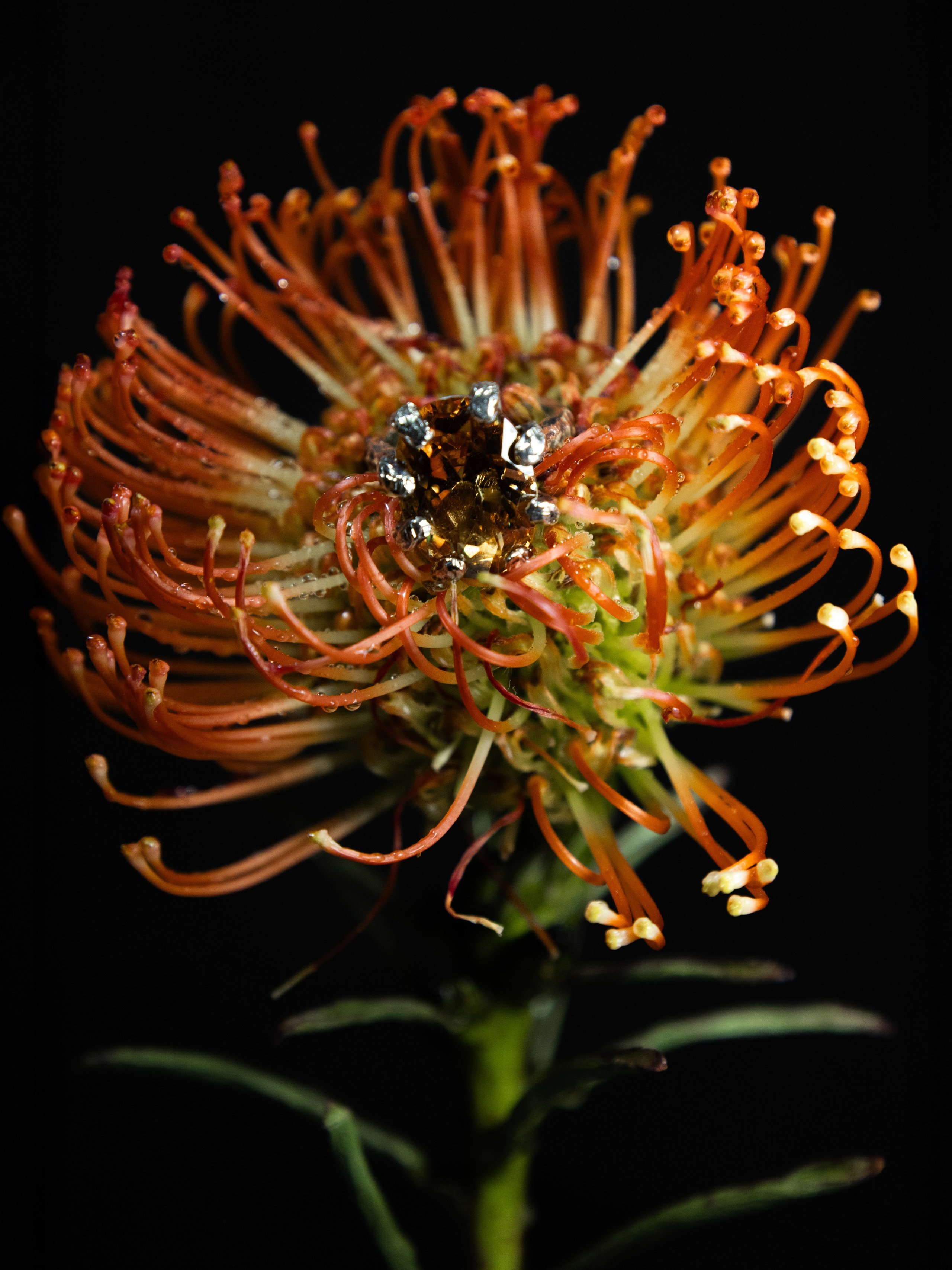 OUTBREAK. Фотограф Москва Грошева Софья