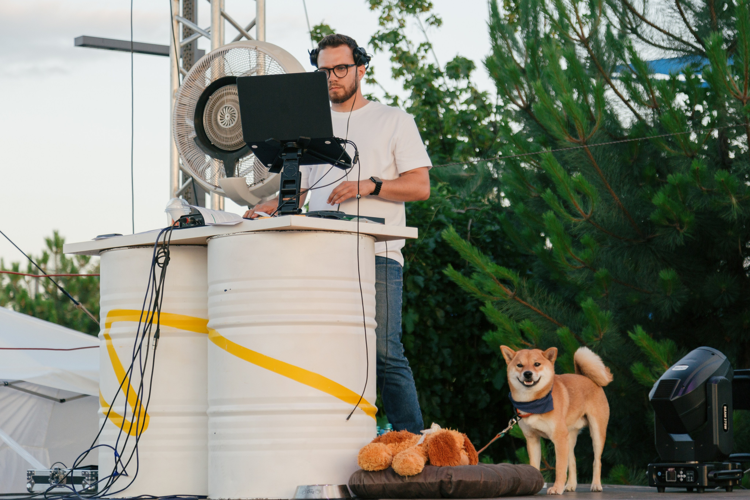 Dog Fest 2024. Главная