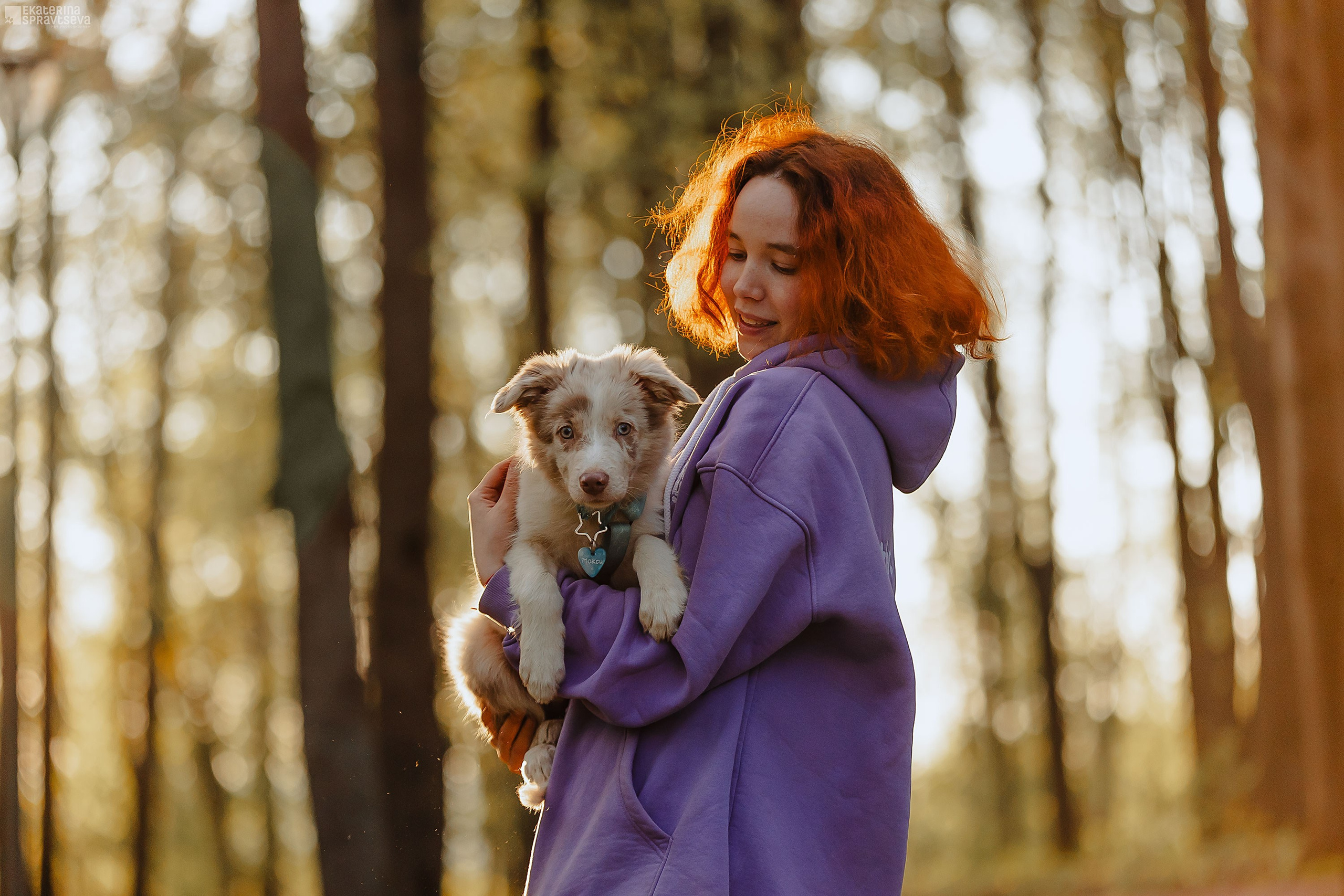 Мокси и Лиза. Фотограф Анималист Екатерина Справцева в Нижнем Новгороде