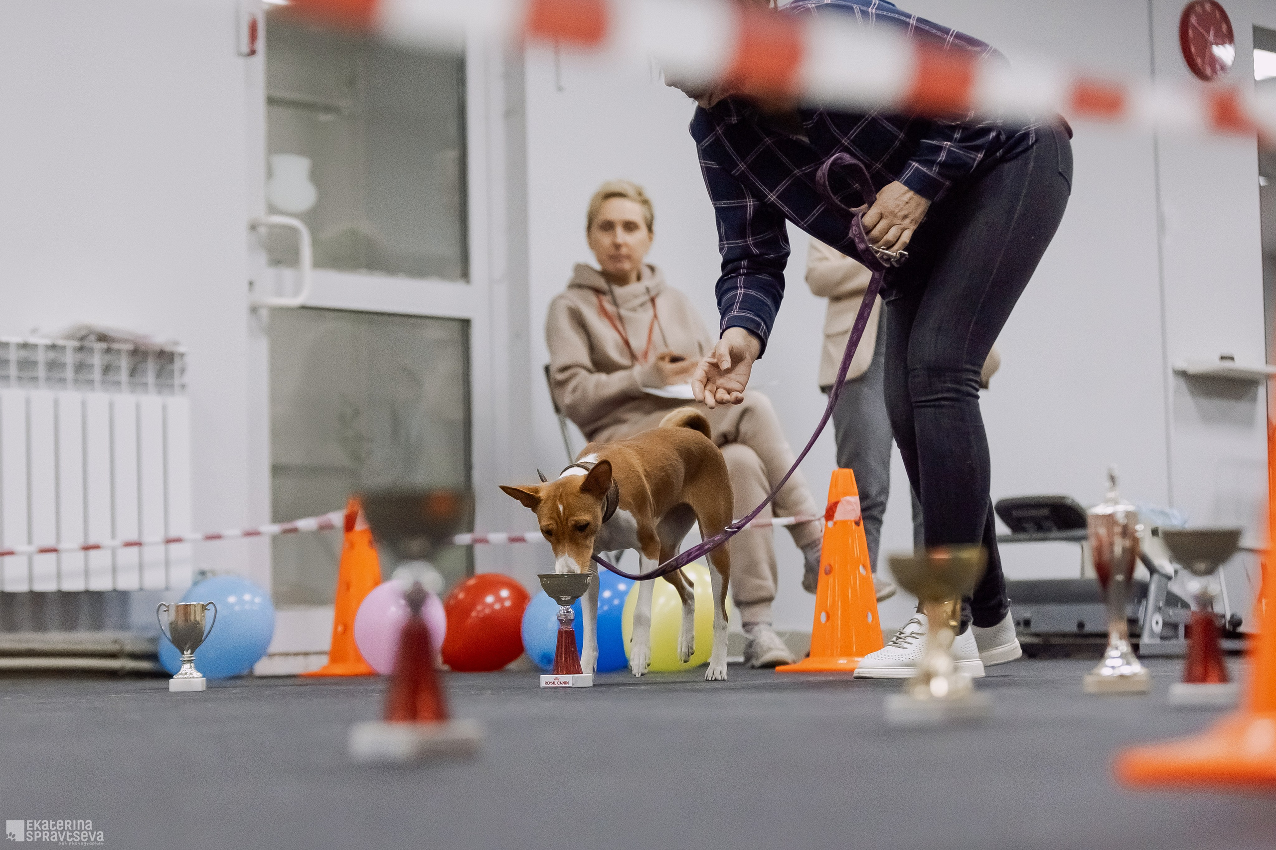 Праздник NoseWork. Фотограф Анималист Екатерина Справцева в Нижнем Новгороде