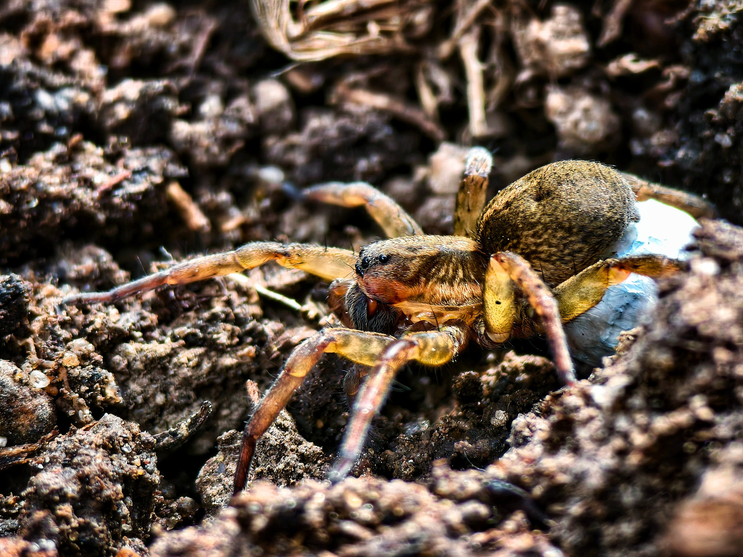 Большое в малом