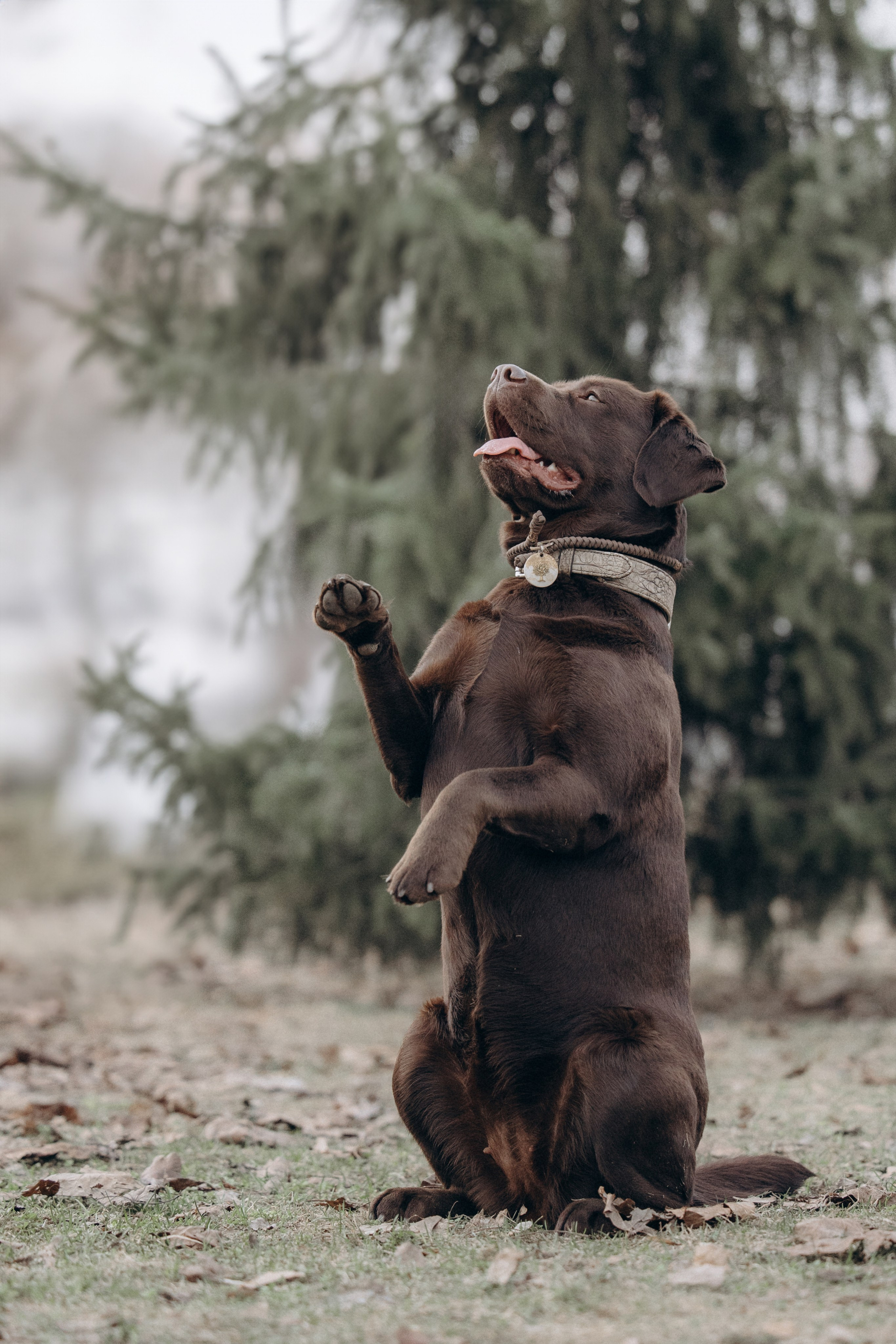 Наталия и Пальма в парке. Фотограф анималист в Казани Алина Сулейманова. Фотограф животных