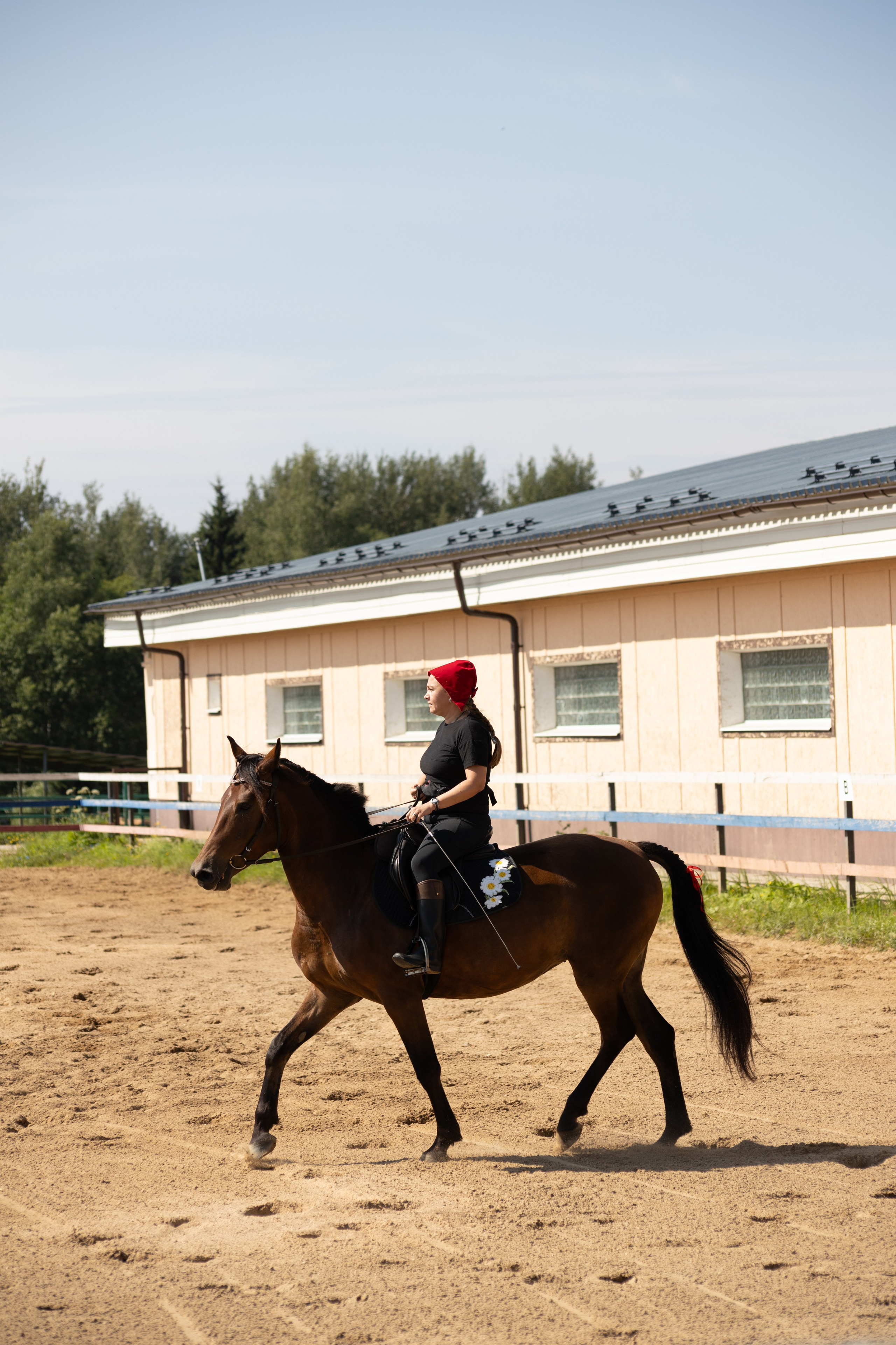 Конюшня. Фотограф в Москве и Истре