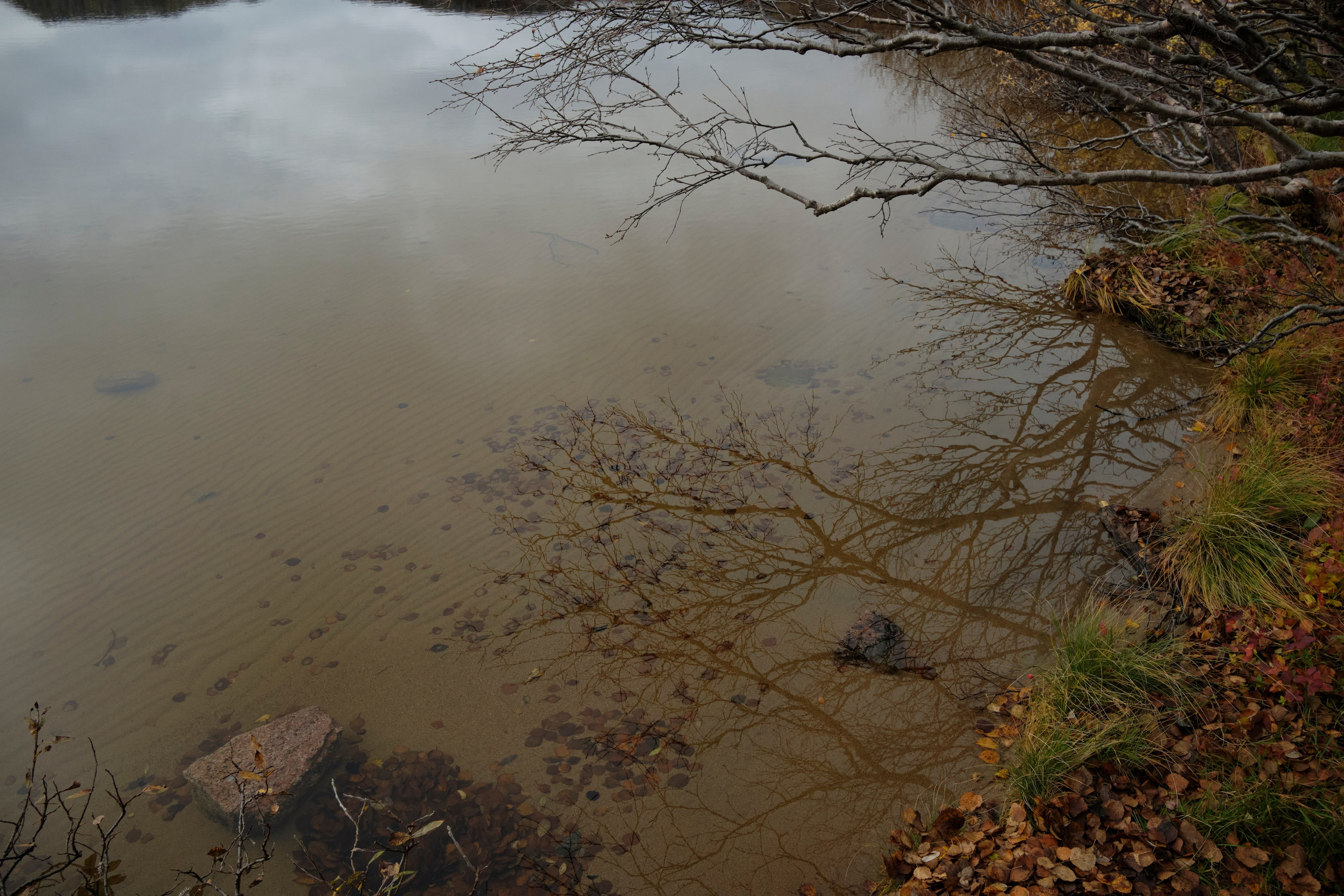 Путешествие в Териберку. Елена Павленко. Фотограф. Москва