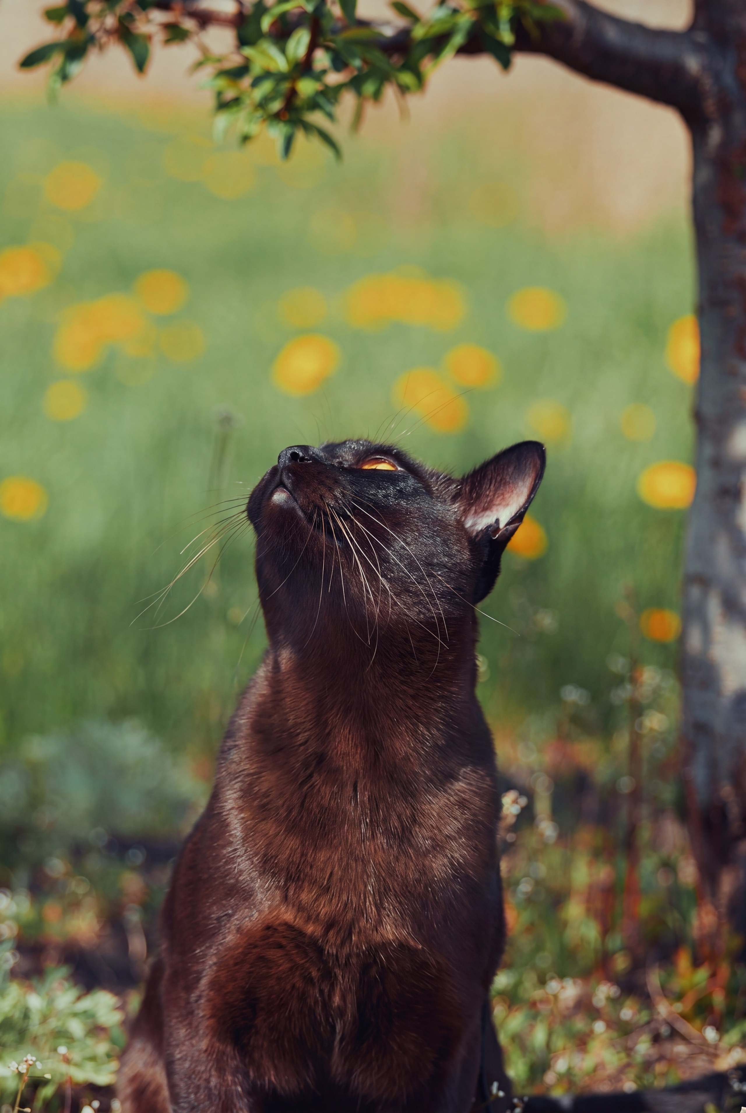 Портфолио. Фотограф Алекс Лето