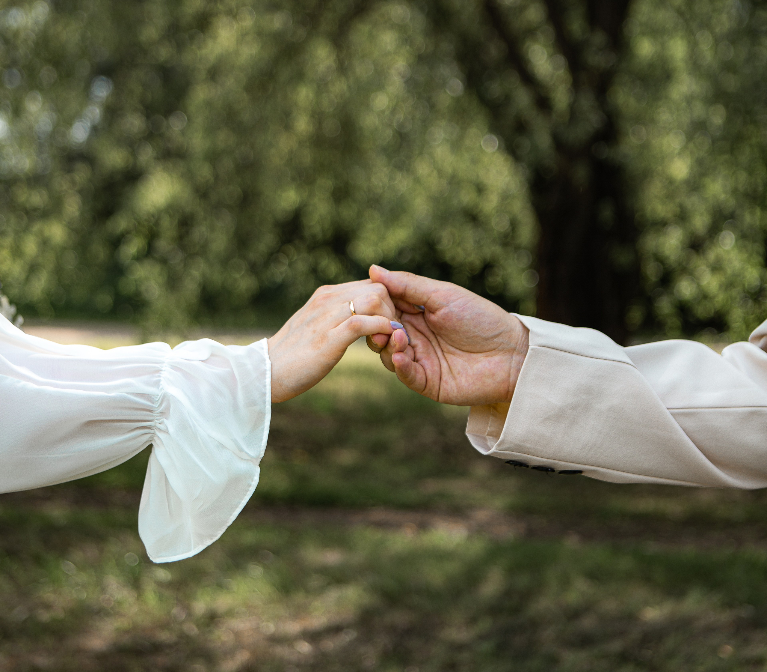 Ландшафтный парк, июль 2025. Фотограф Тверь|Москва|Волоколамск| Отт Кристина