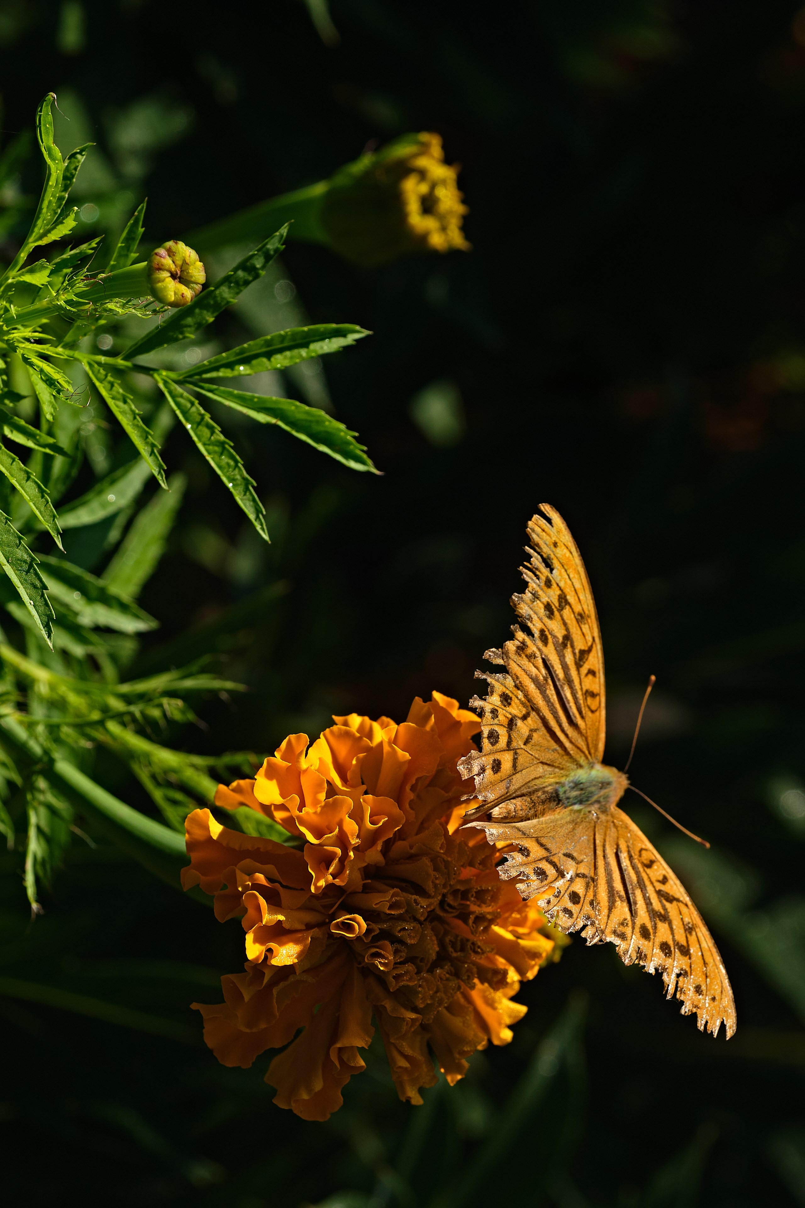 Nature. Рекламная фото и видео съёмка в Екатеринбурге