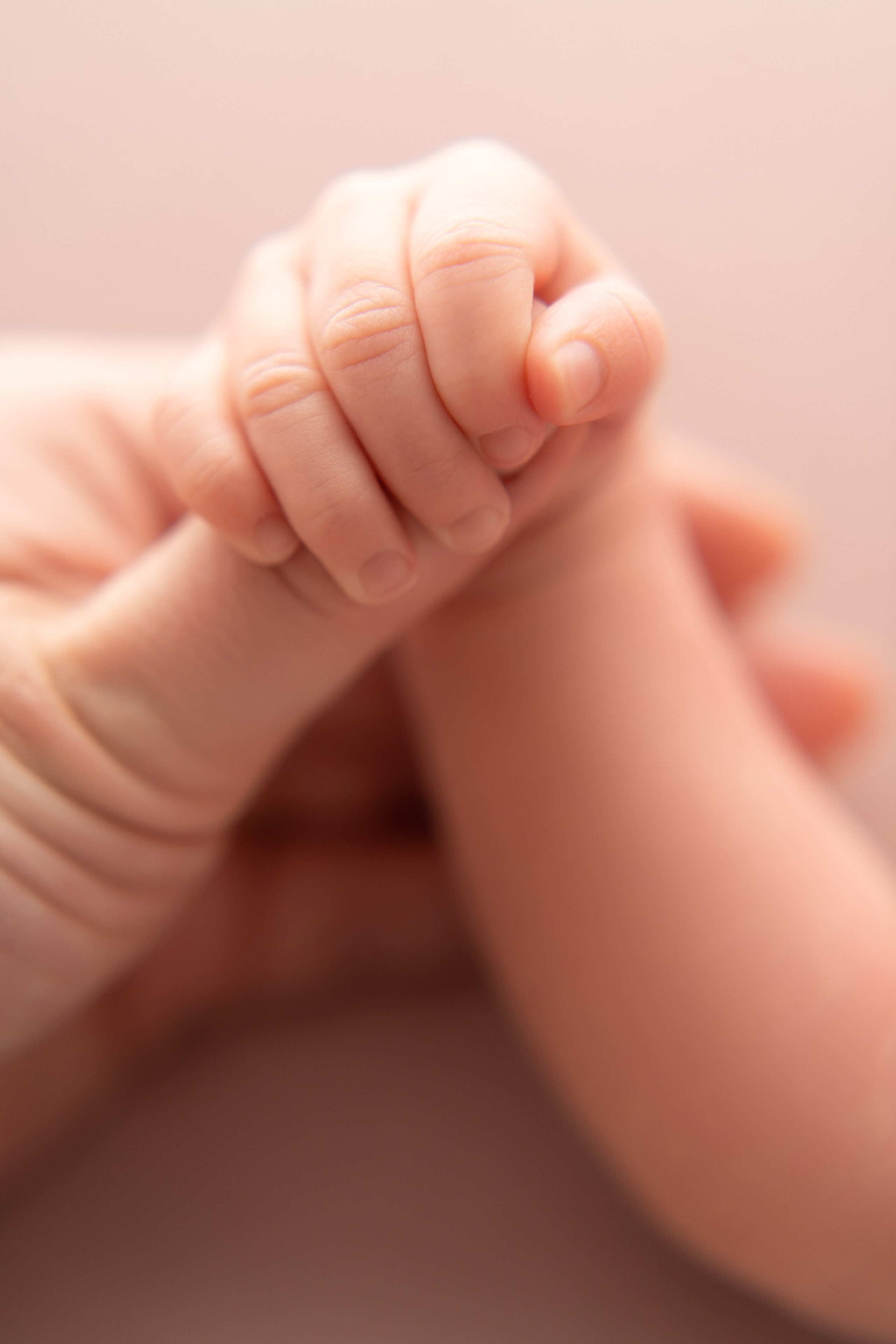 Съемка новорожденных. Фотограф новорожденных Москва и МО Татьяна Цыплакова