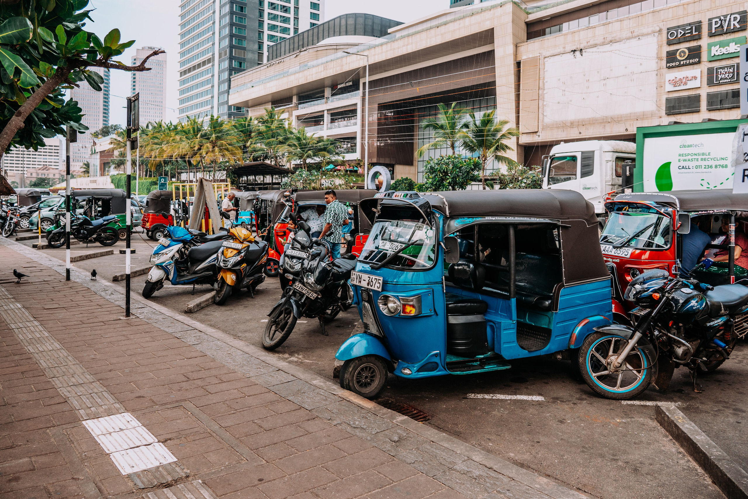 Шри-Ланка 2025. Легкая фотография