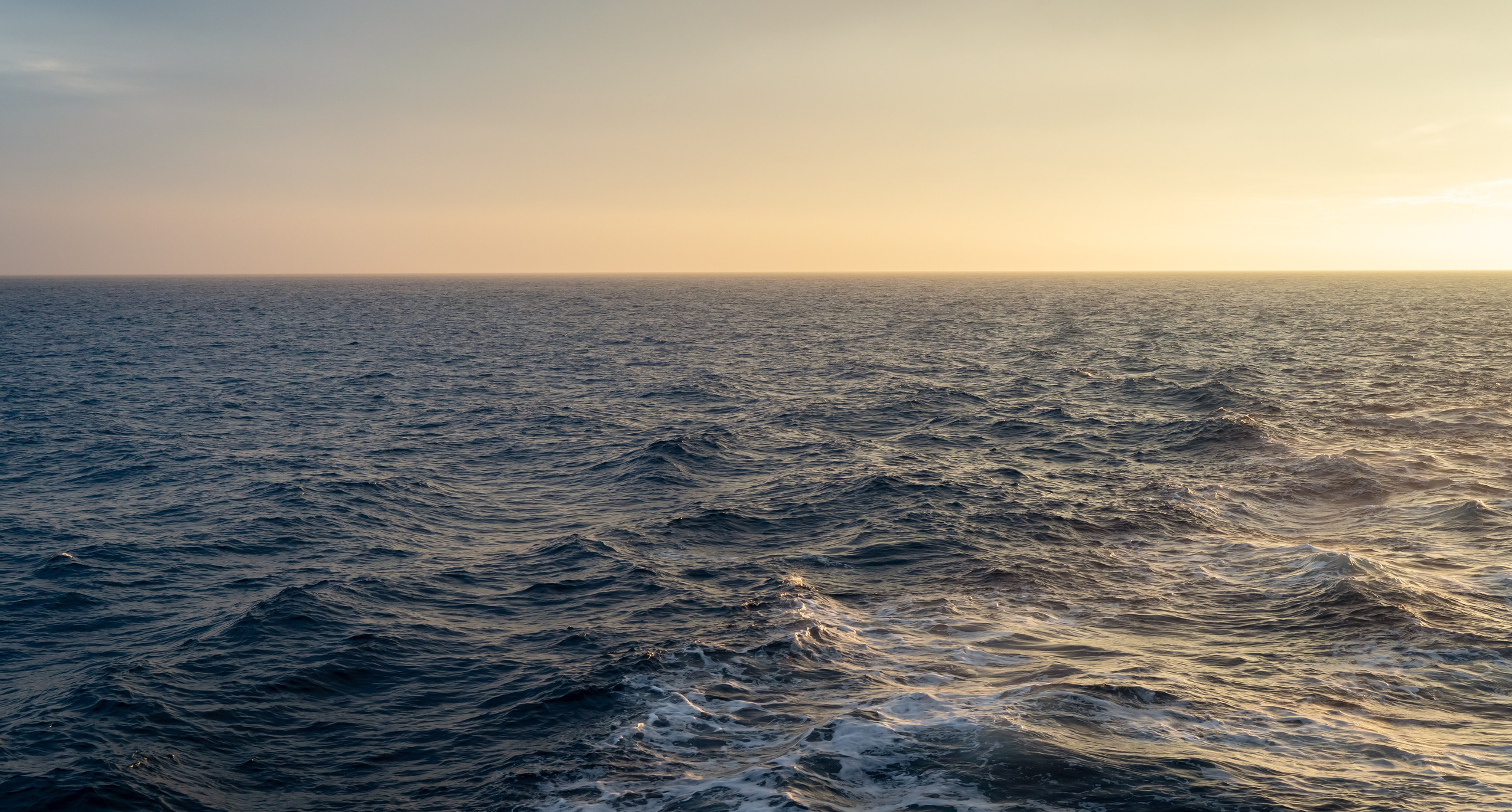 Итуруп. Семейный фотограф Варвара Сорока в городе Москве