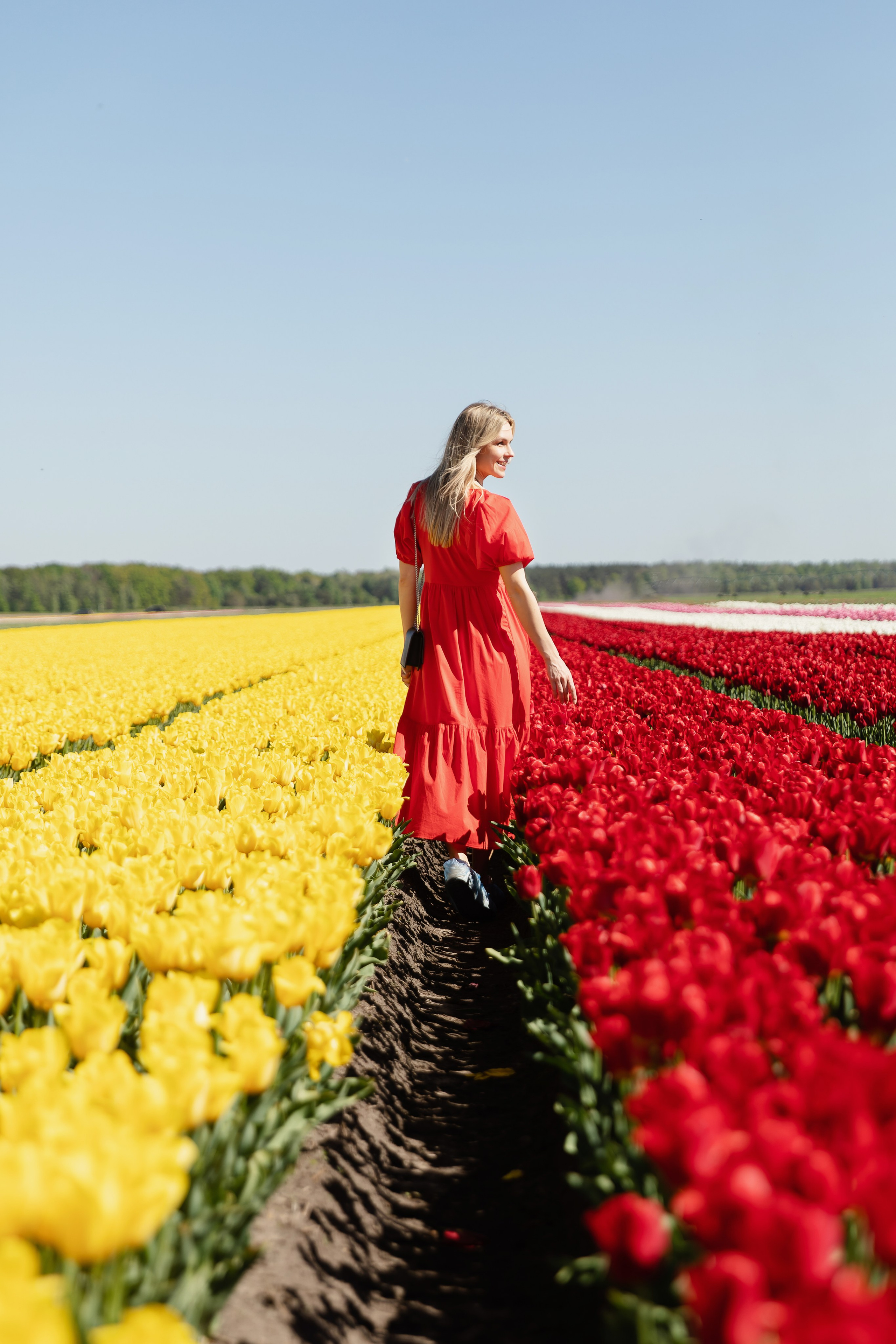 Фотографии с тюльпановых полей Пинск. Репортажный и свадебный фотограф в Минске Шамко Анатолий