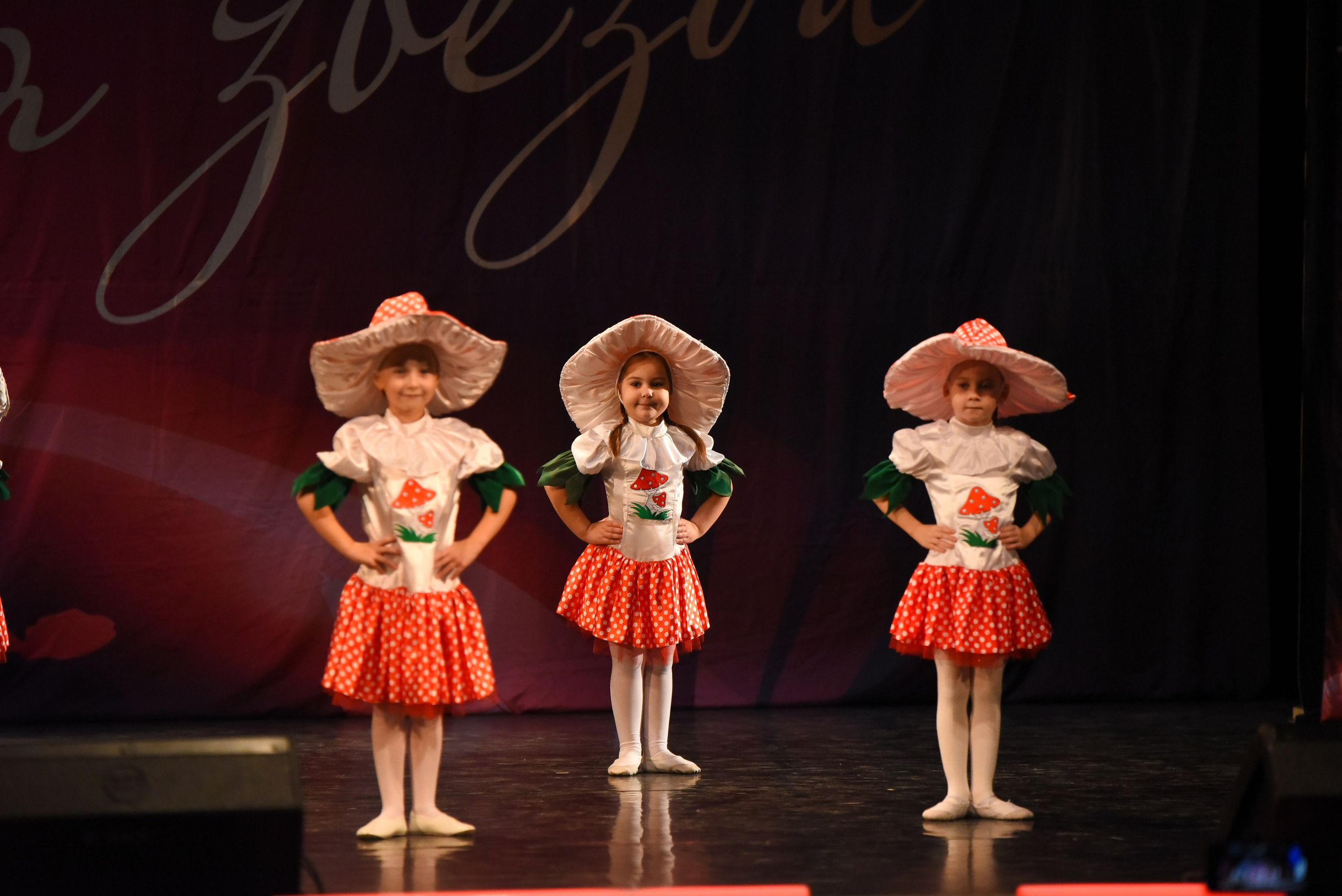 13 декабря, г. Калининград. Золотое яблочко