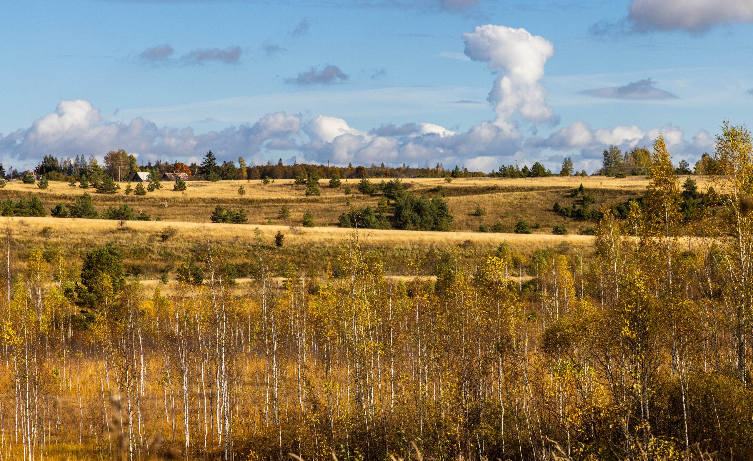 Архитектура и пейзажи. Главная