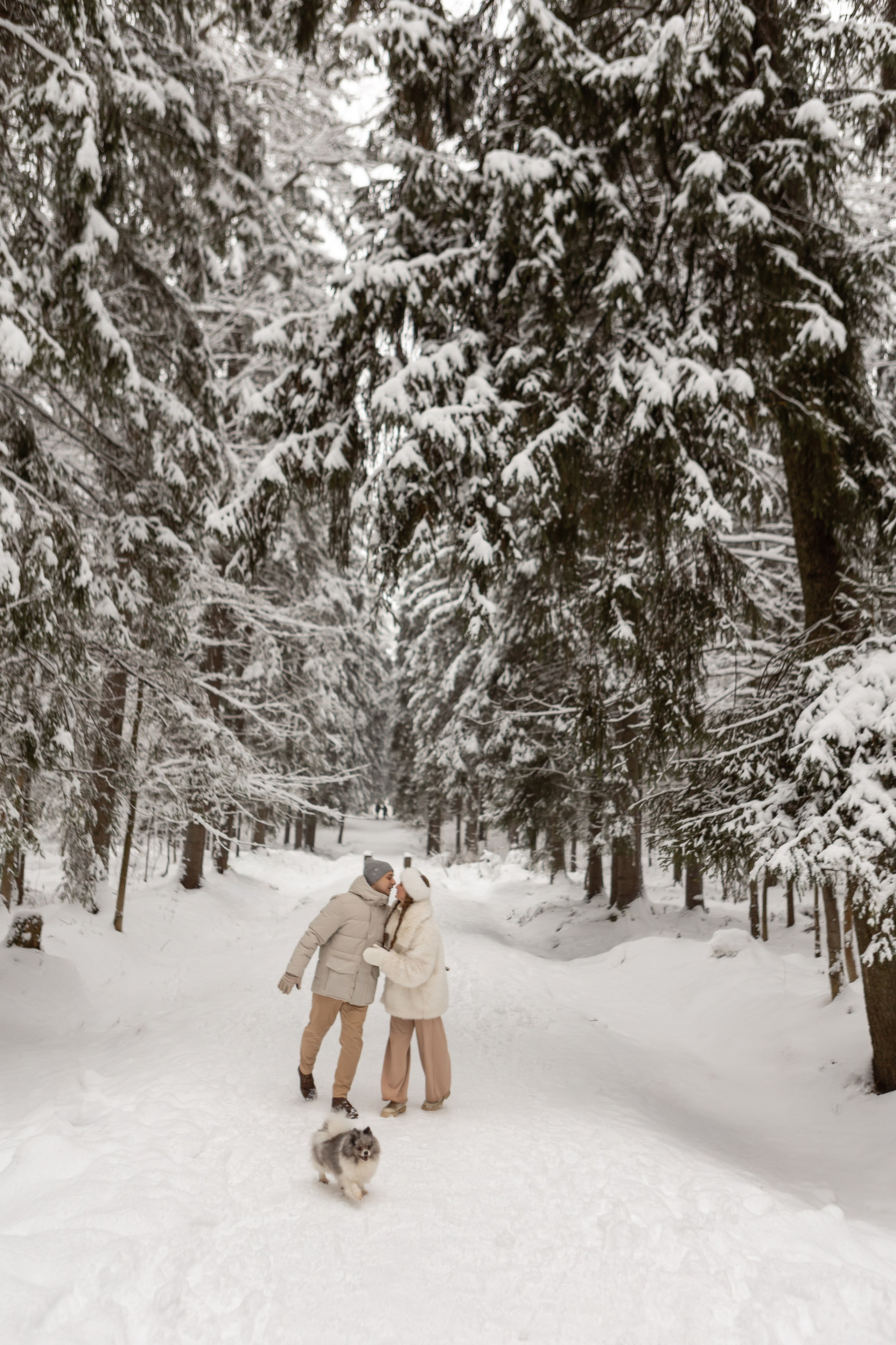 Новогодняя фотосессия с собачками в шуваловском парке. Свадебный фотограф в СПБ | Санкт-Петербурге Анастасия Рахимгулова