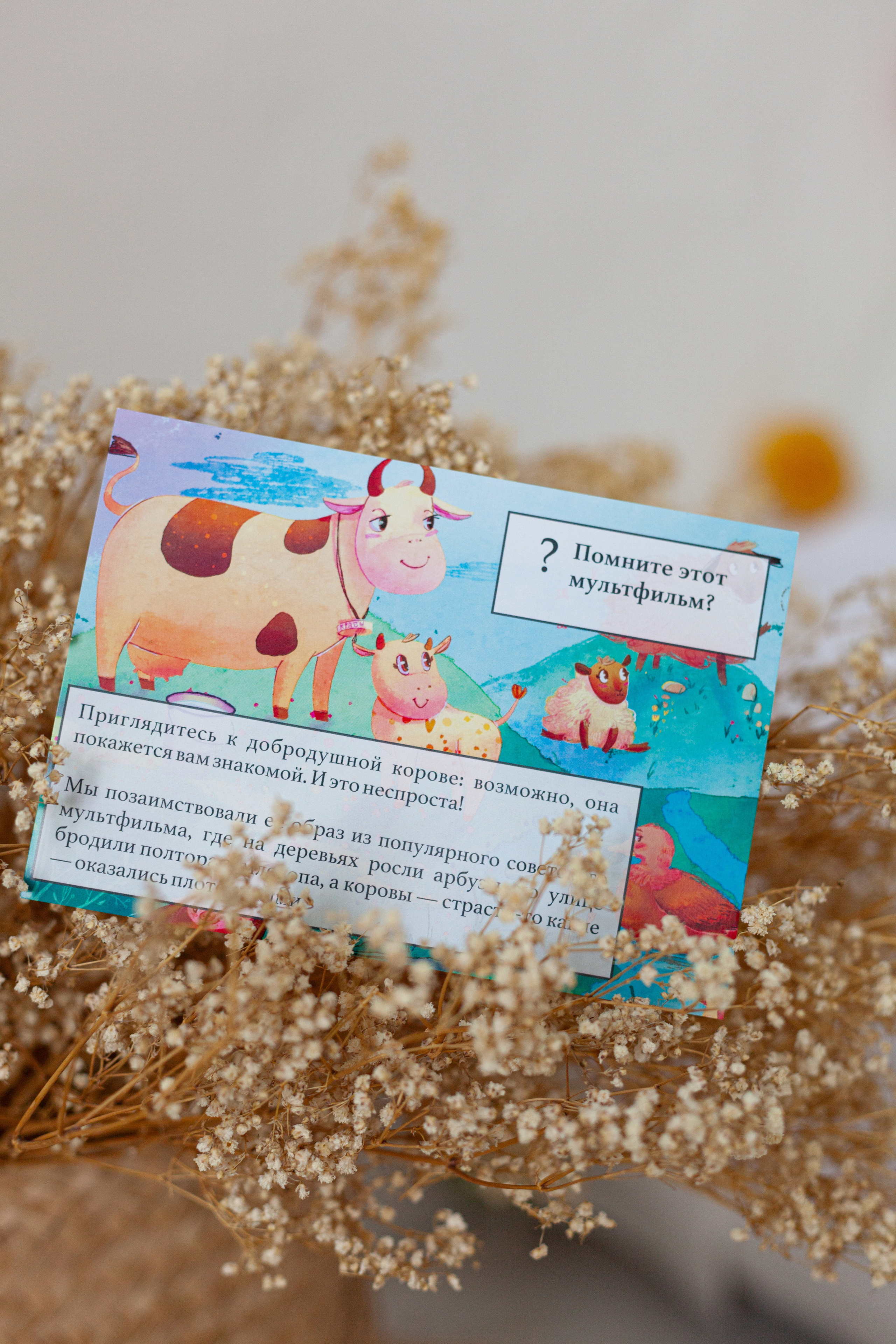 Контент для детского бренда. Детский и контент фотограф Надя Волкова Санкт-Петербург