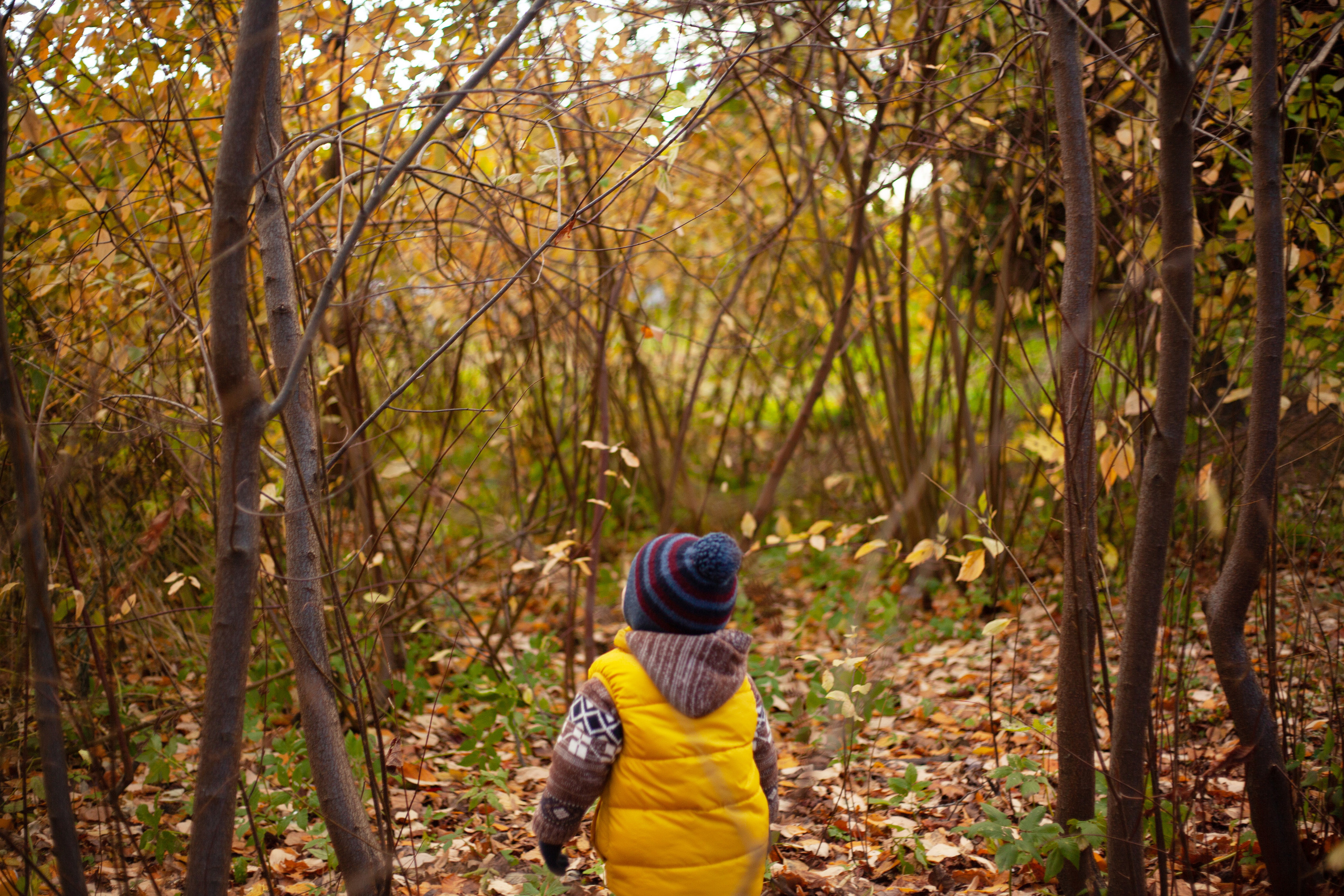 Осенняя фотосессия семьи с ребенком на острове Елагин. Детский и контент фотограф Надя Волкова Санкт-Петербург
