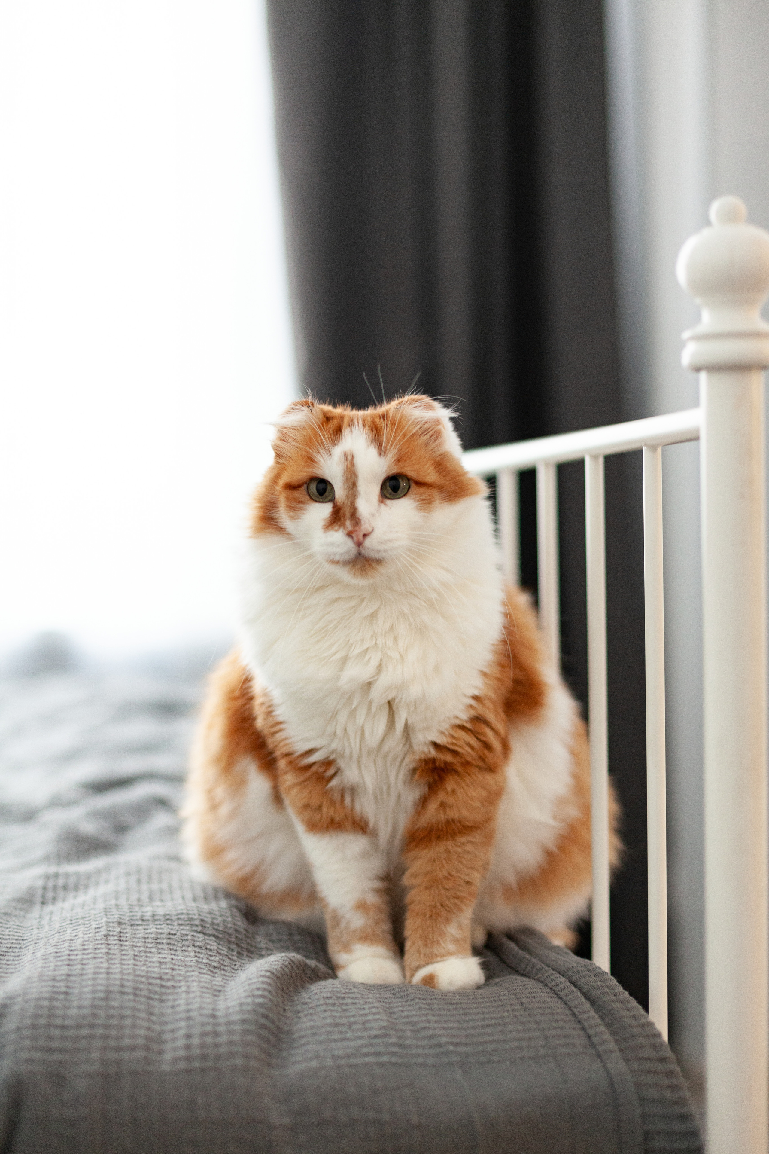 Семейная домашняя фотосессия. Детский и контент фотограф Надя Волкова Санкт-Петербург