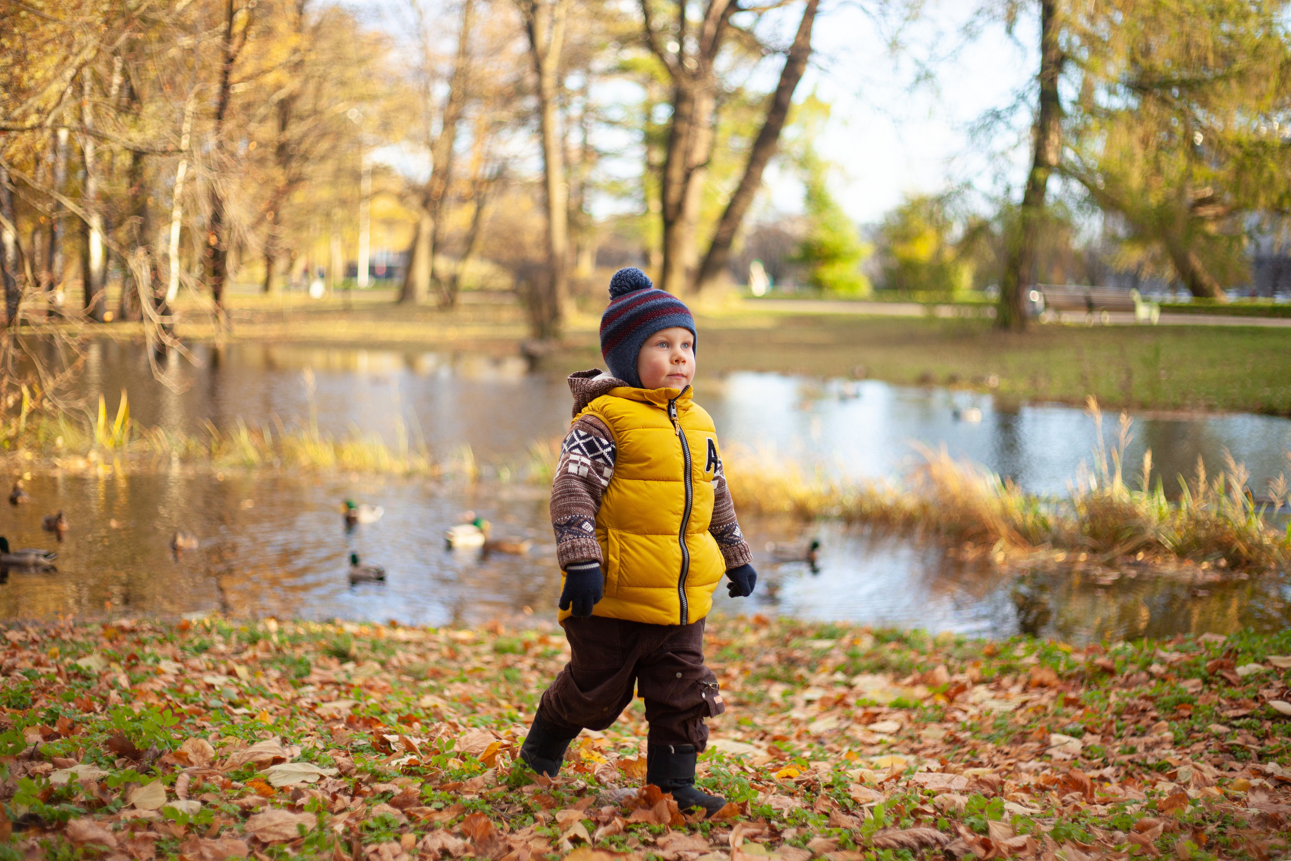 Осенняя фотосессия семьи с ребенком на острове Елагин. Детский и контент фотограф Надя Волкова Санкт-Петербург